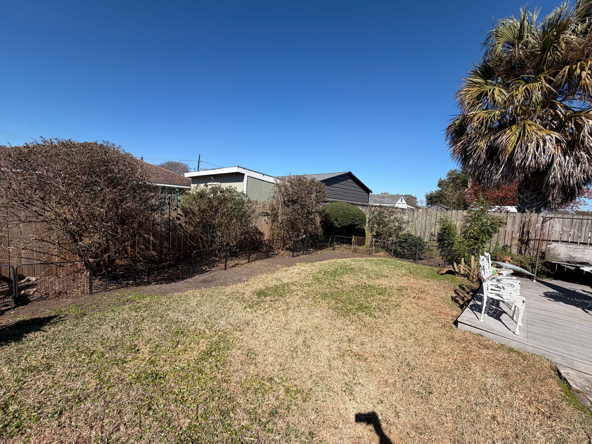 Gallery photos for Complete Yard Cleanup in Metairie: Image #5