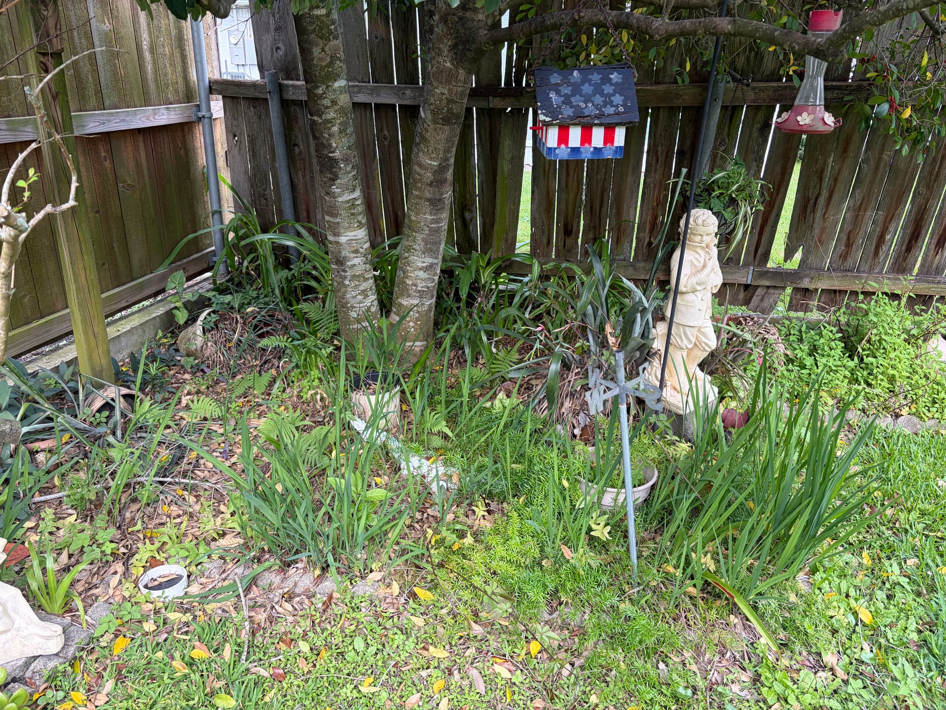 Gallery photos for Backyard Cleanup That Actually Makes a Difference: Image #4