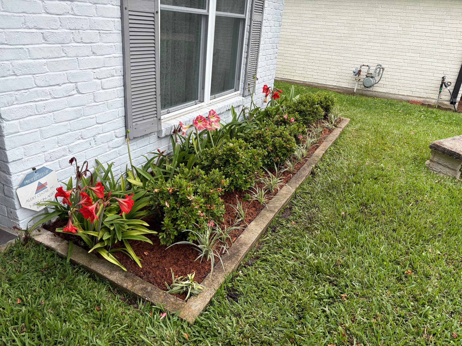 Gallery photos for Front Yard Garden Bed Cleanup and Fresh Plant Installation: Image #3