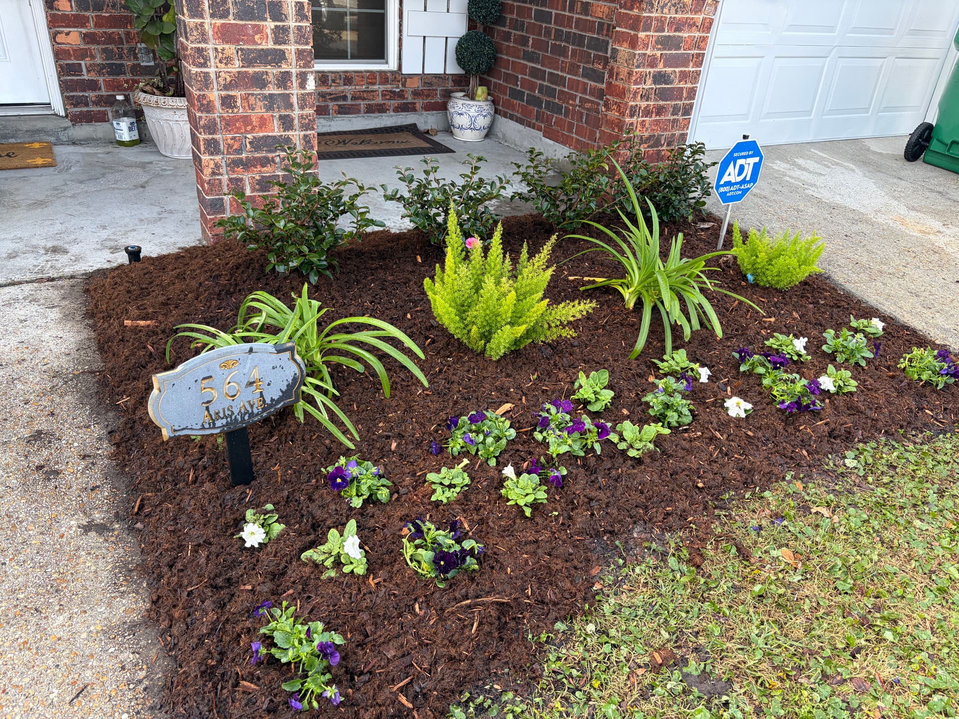 Gallery photos for Front Yard Transformation with Fresh Landscapes and Smart Irrigation: Image #6