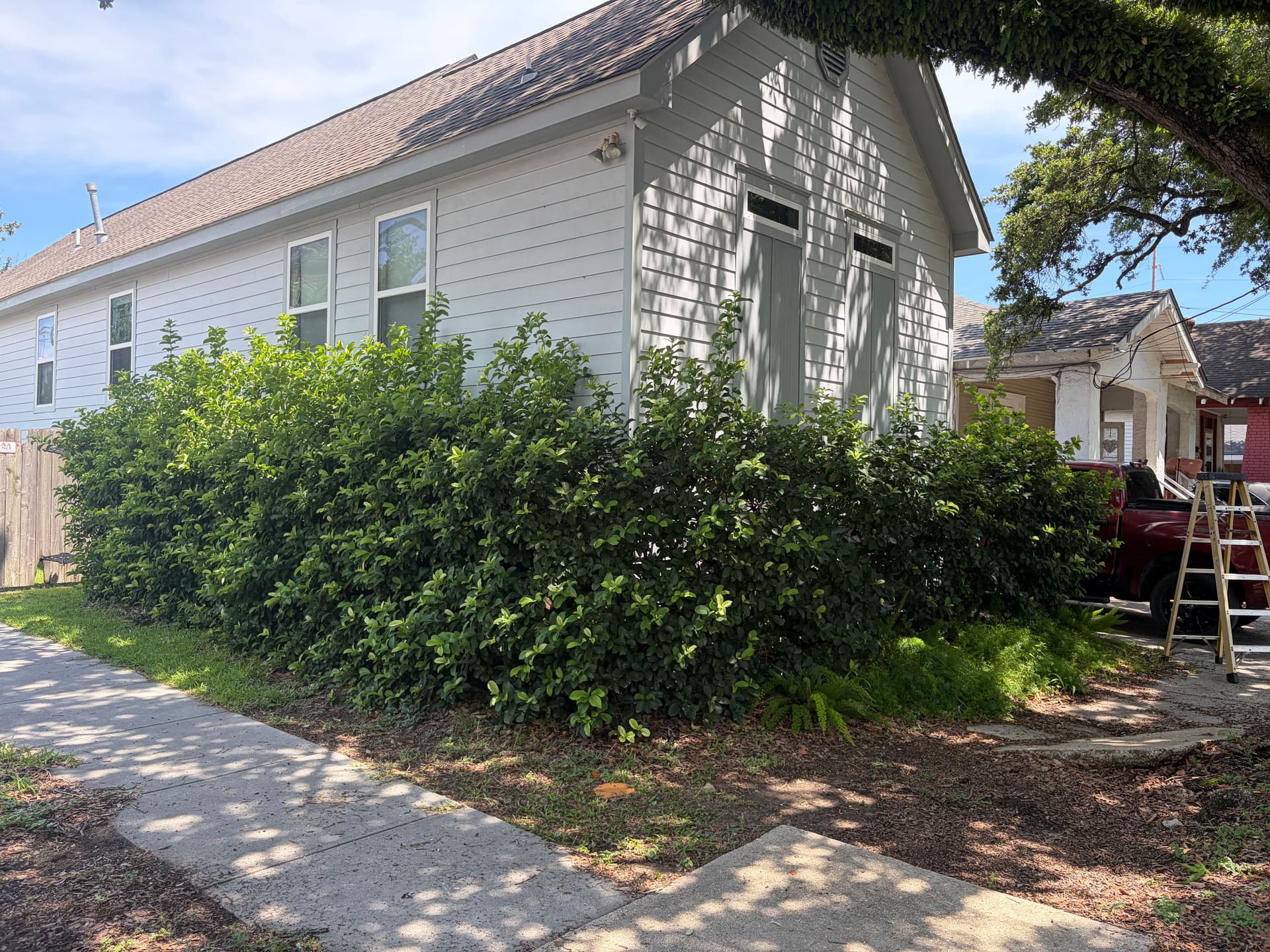 New Orleans Hedge Trimming That Actually Makes a Difference image