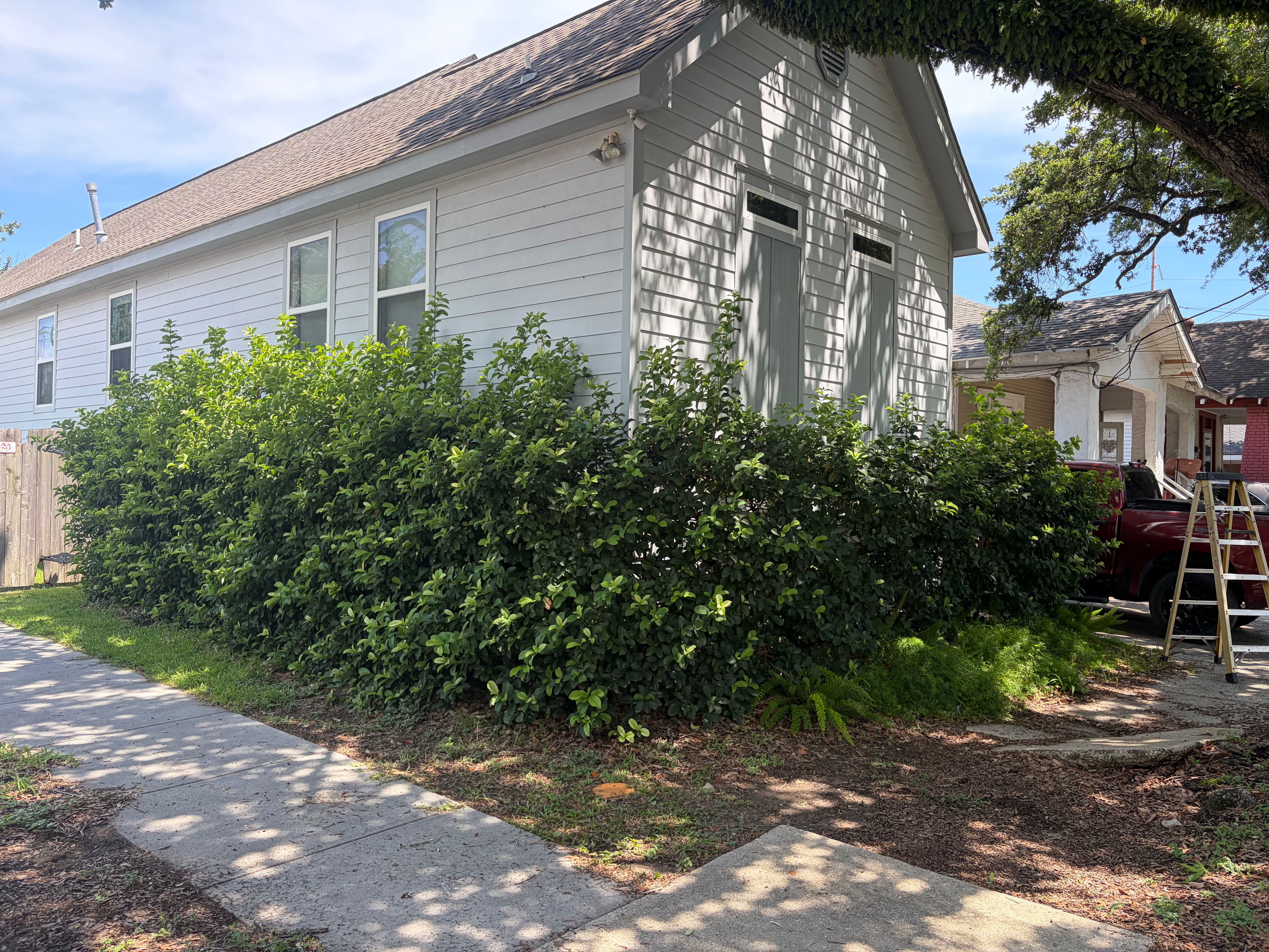 Project New Orleans Hedge Trimming That Actually Makes a Difference image