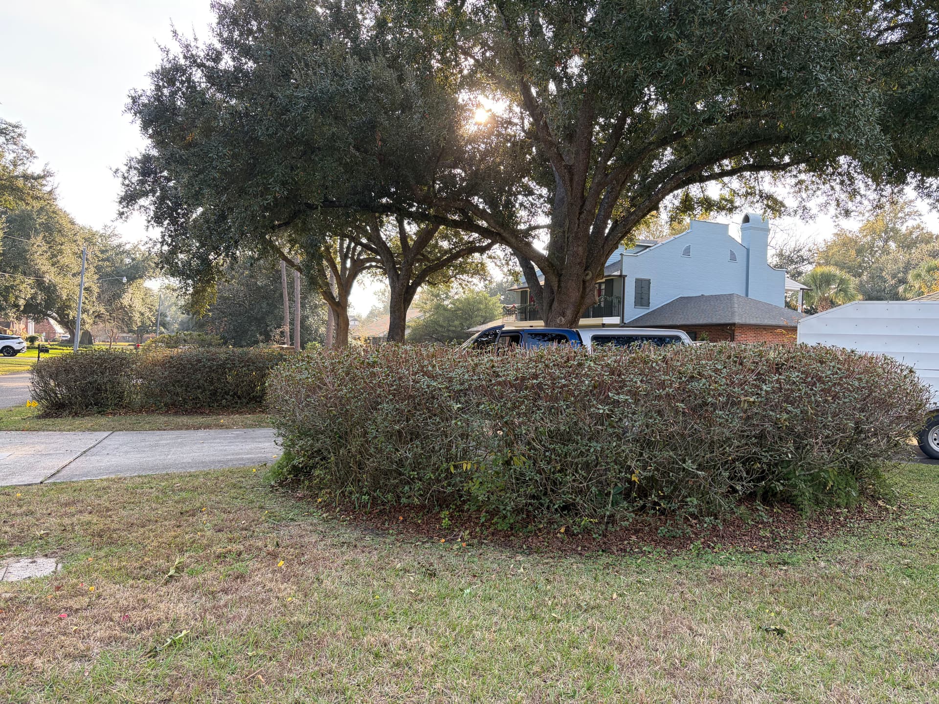 Gallery photos for Tidy and Trimmed: Holiday Ready Landscaping: Image #3