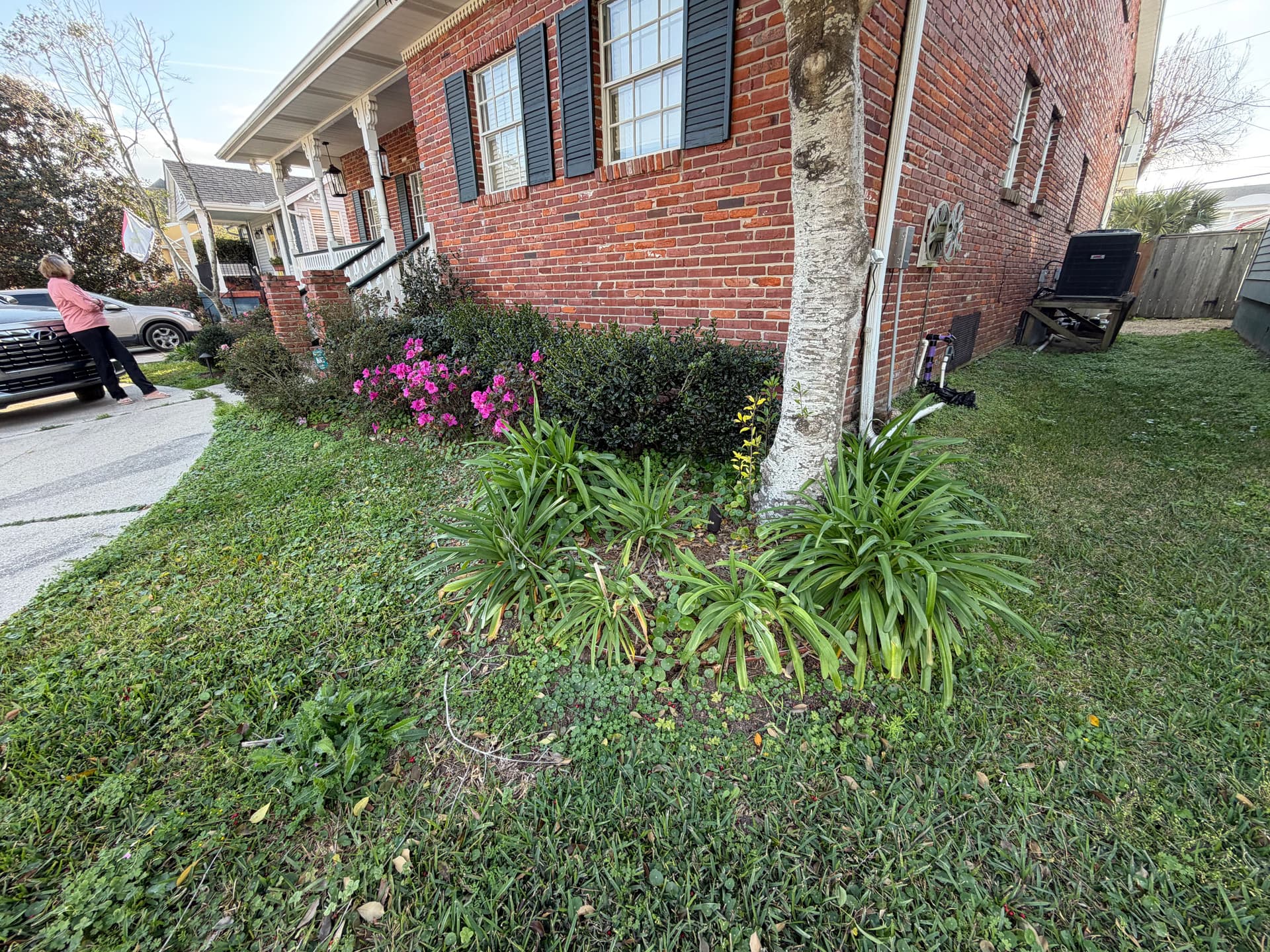 Gallery photos for Front Yard Transformation with Mulching and Trimming: Image #2