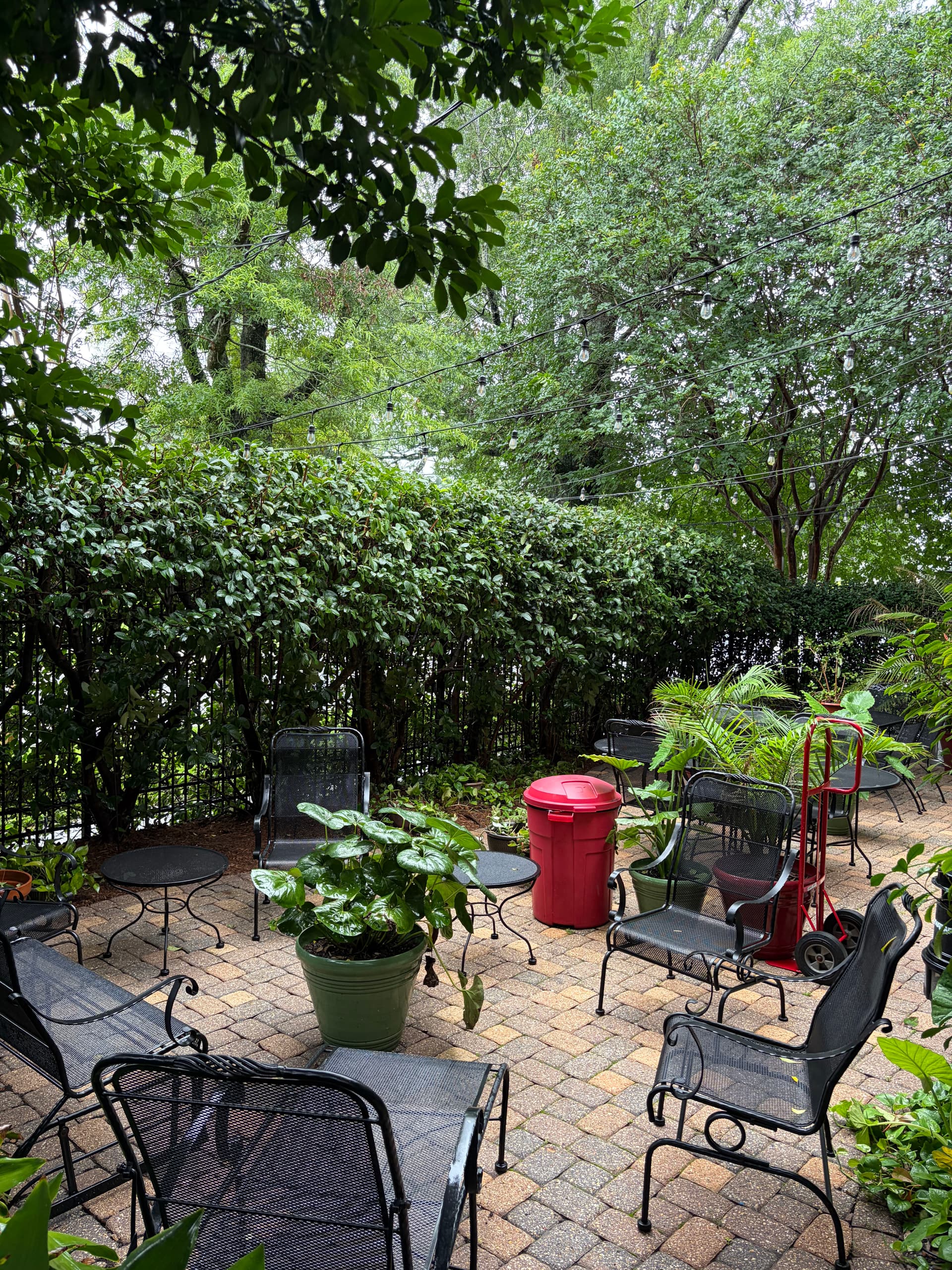 Gallery photos for Full Landscape Cleanup With Fresh Mulch and Shaped Shrubs: Image #8