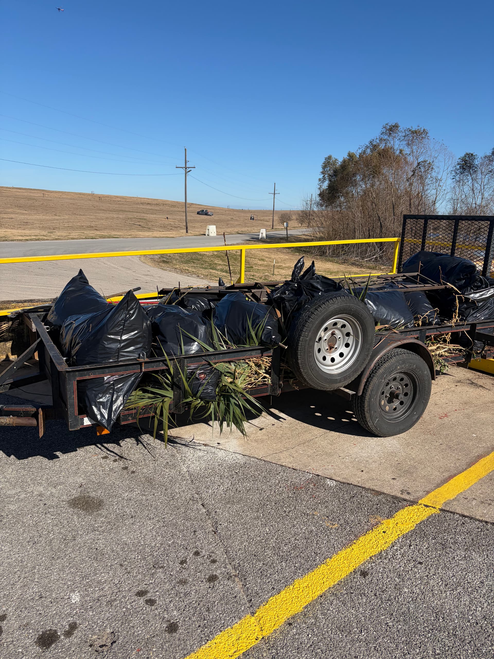 Gallery photos for Complete Yard Cleanup in Metairie: Image #8