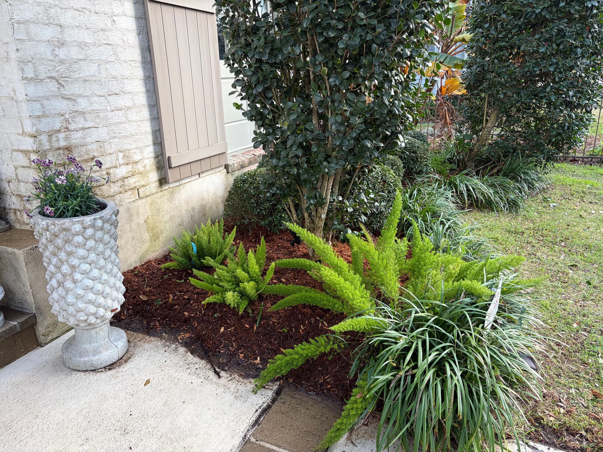Gallery photos for Enhanced Curb Appeal with Fresh Mulch and Trimmed Shrubs: Image #5