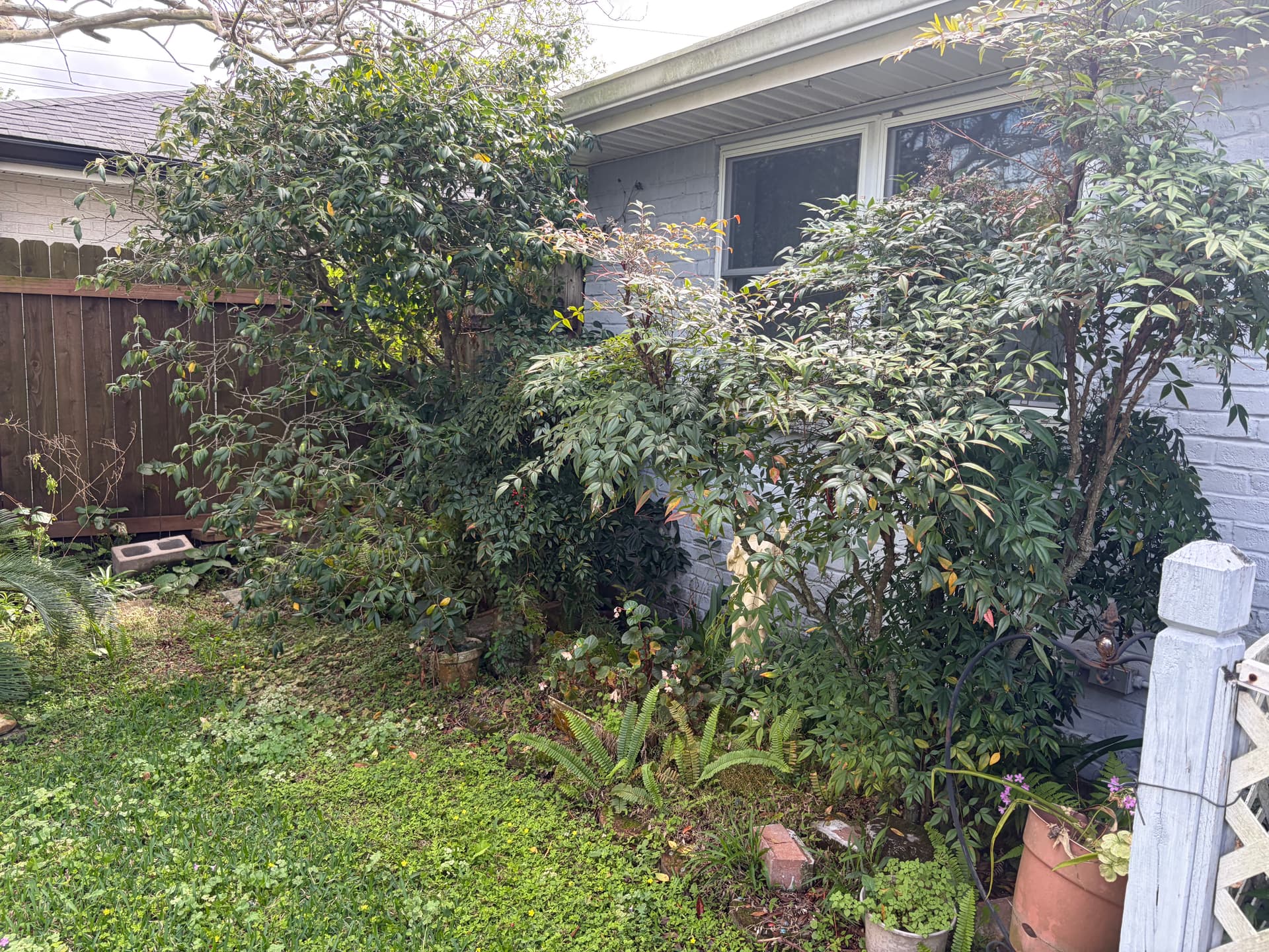 Gallery photos for Backyard Cleanup That Actually Makes a Difference: Image #2