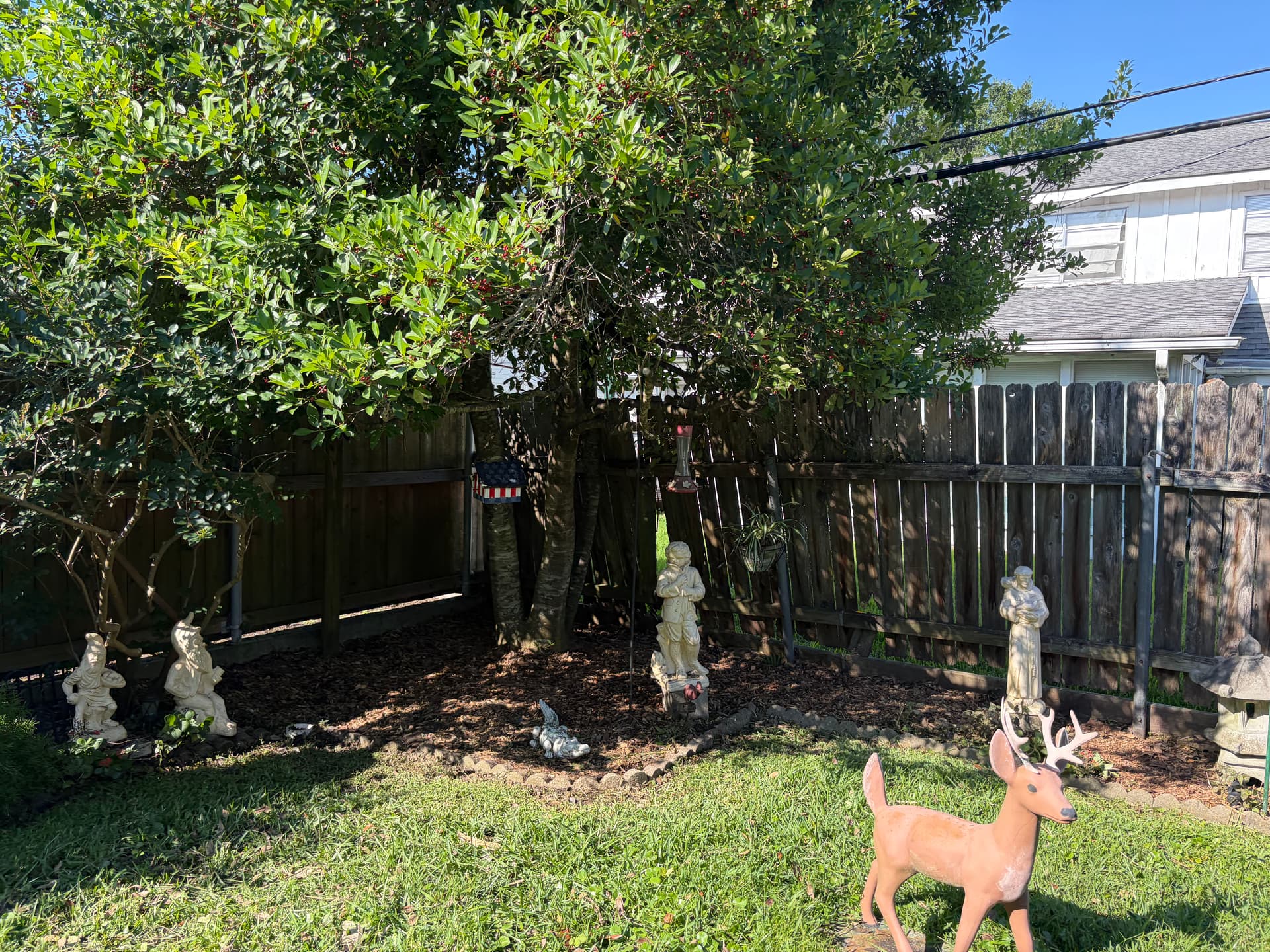 Gallery photos for Backyard Cleanup That Actually Makes a Difference: Image #8