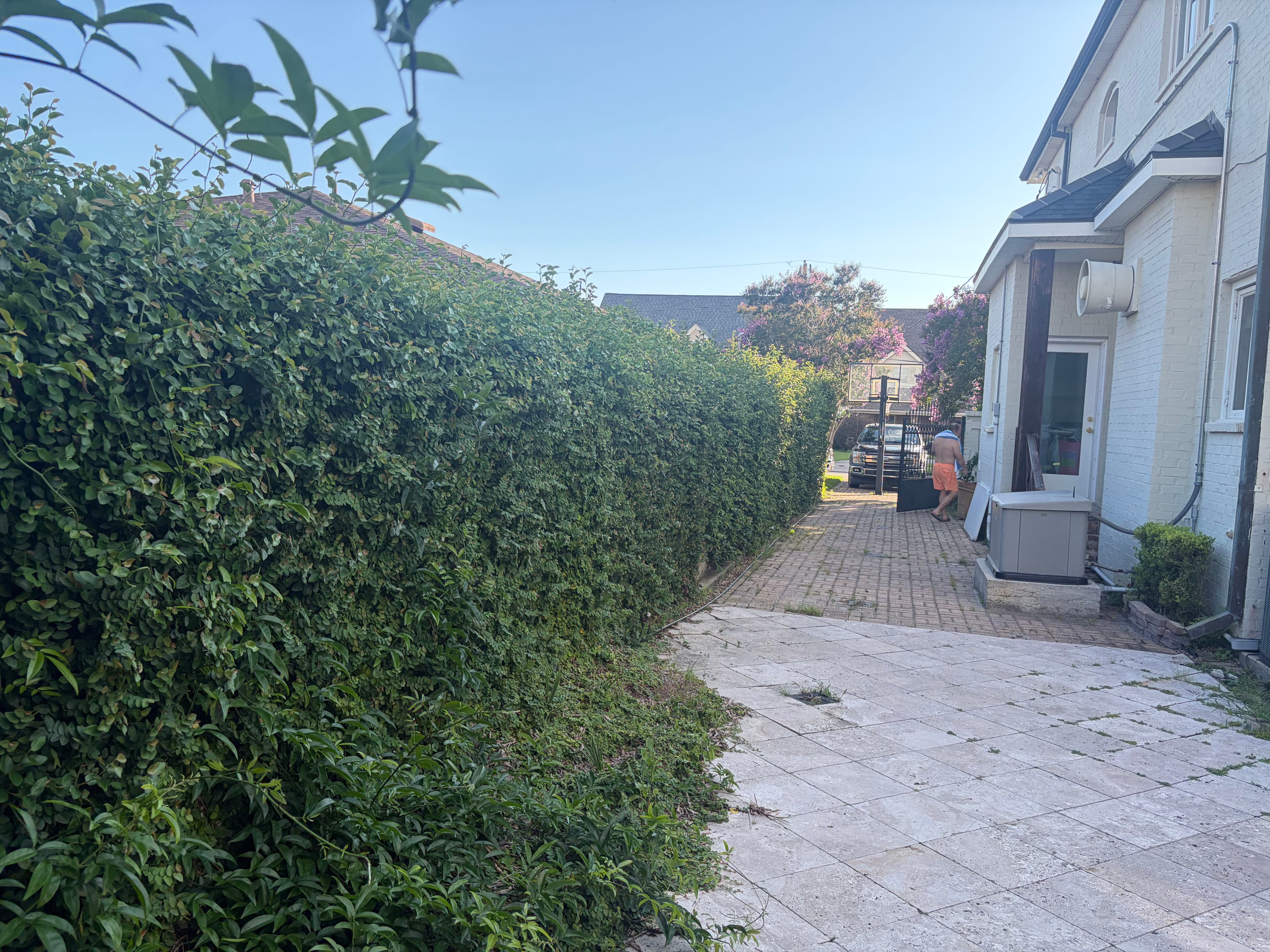 Project Front Yard Shrub Trimming and Landscape Cleanup Done Right image