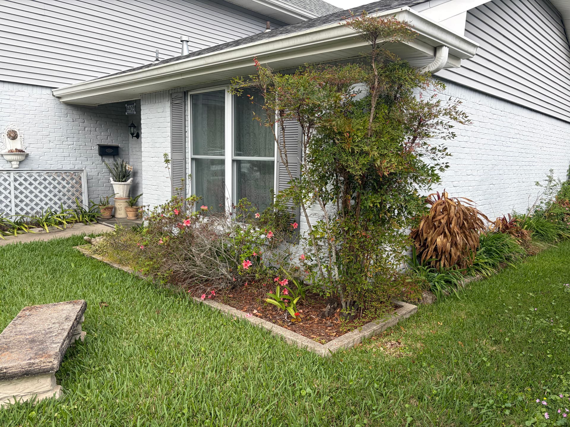 Front Yard Garden Bed Cleanup and Fresh Plant Installation image