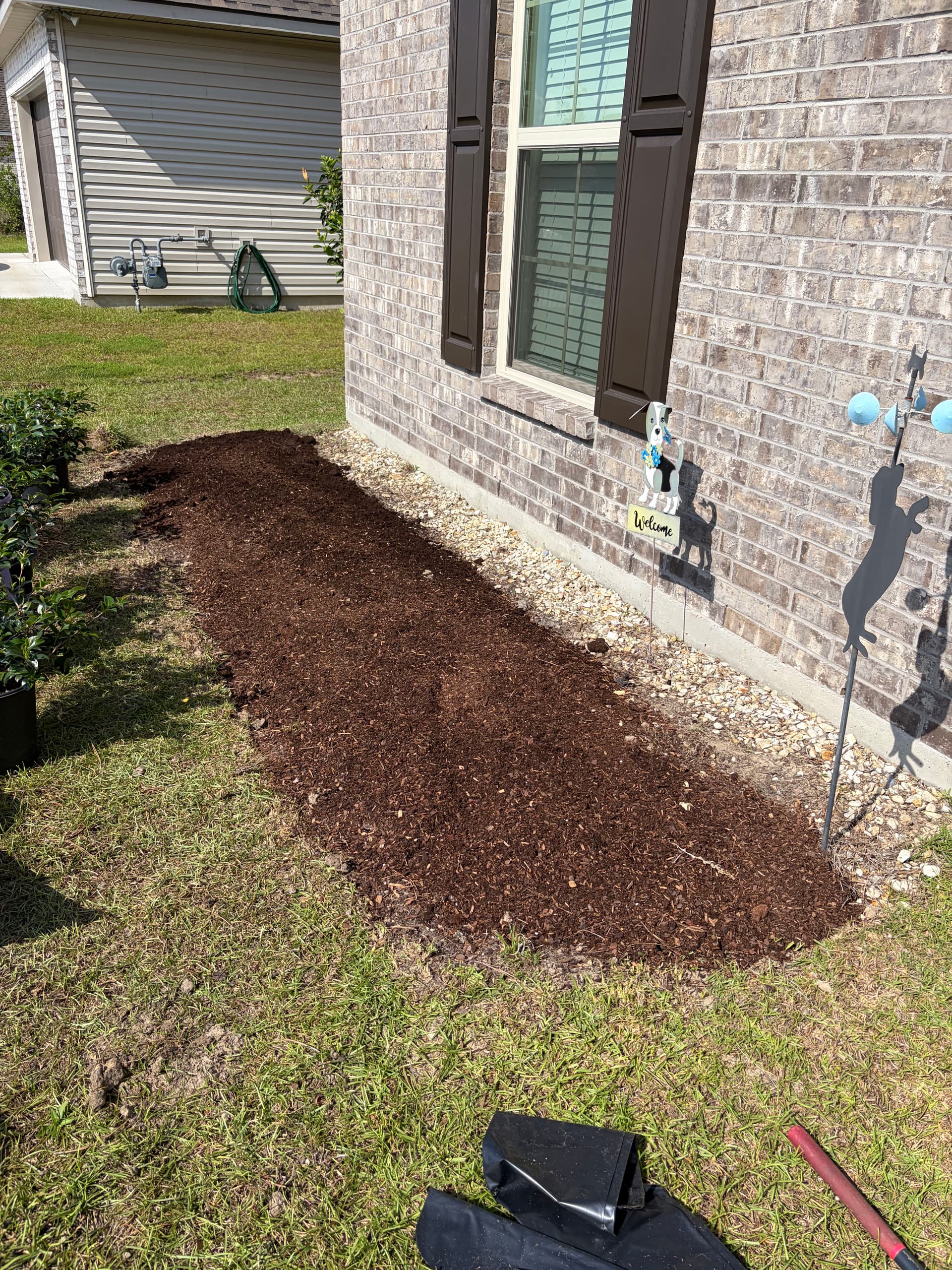 Gallery photos for Front Yard Landscape Tearout and Replant with Camellias and Hibiscus: Image #2