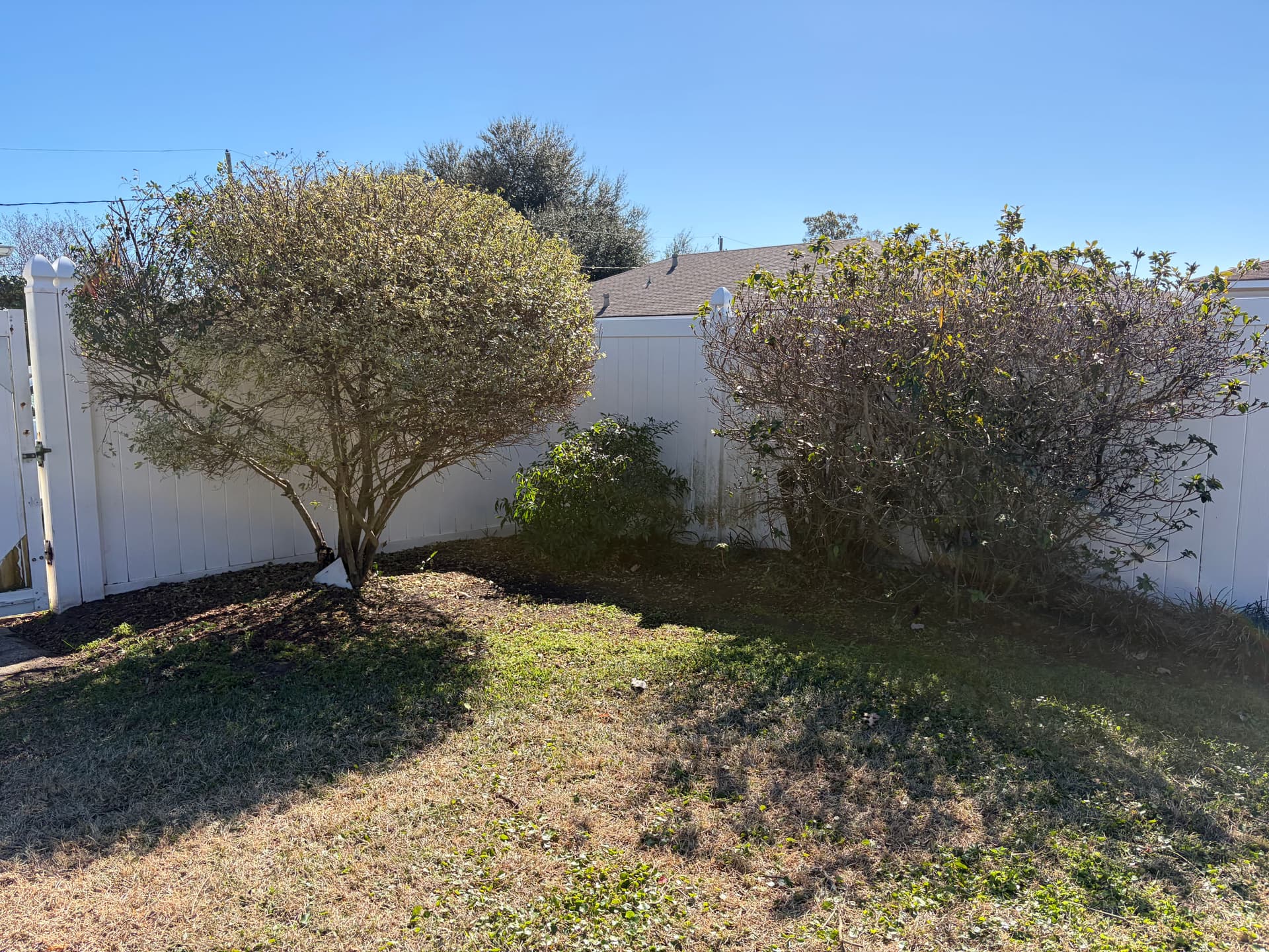 Gallery photos for Complete Yard Cleanup in Metairie: Image #7