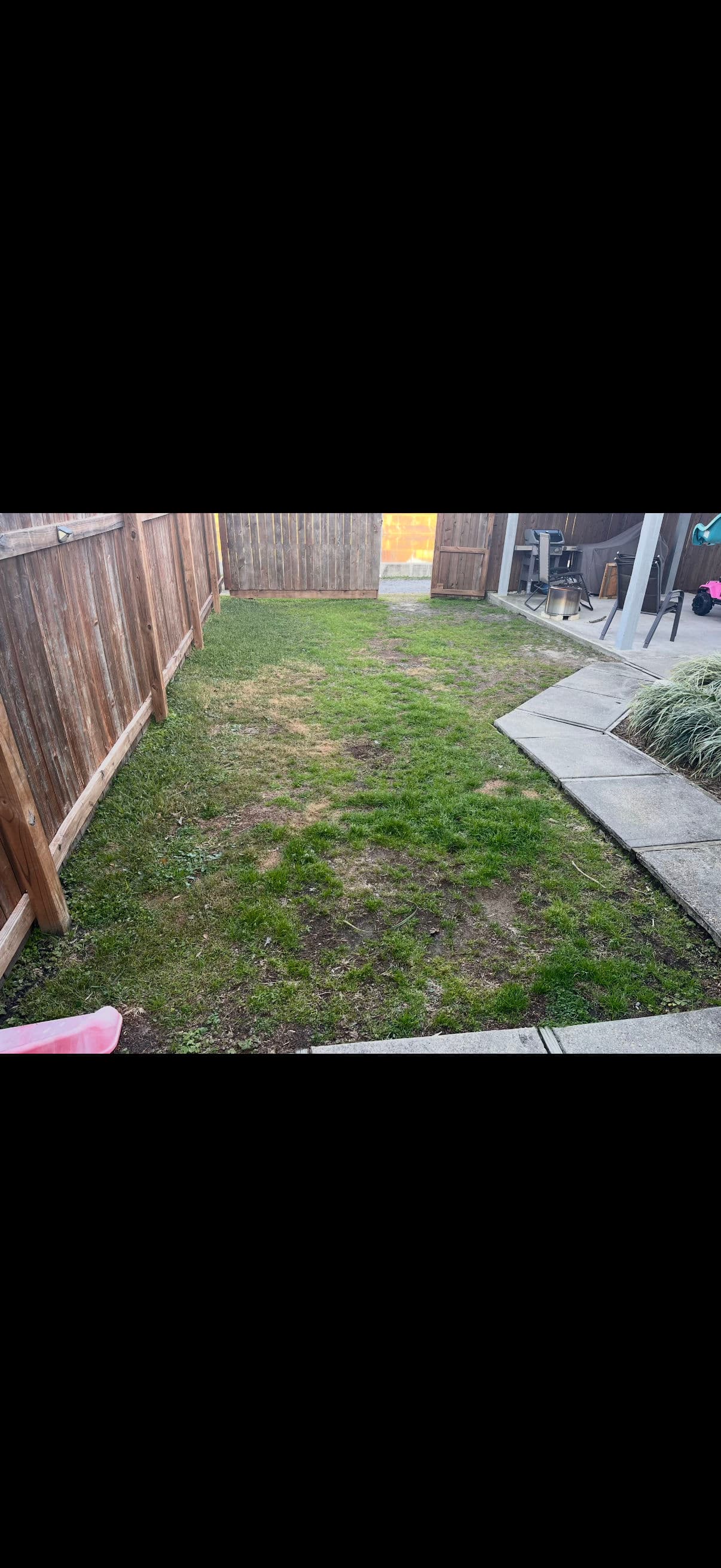 St. Augustine Ripped Out, Palisade Zoysia Installed in Its Place image