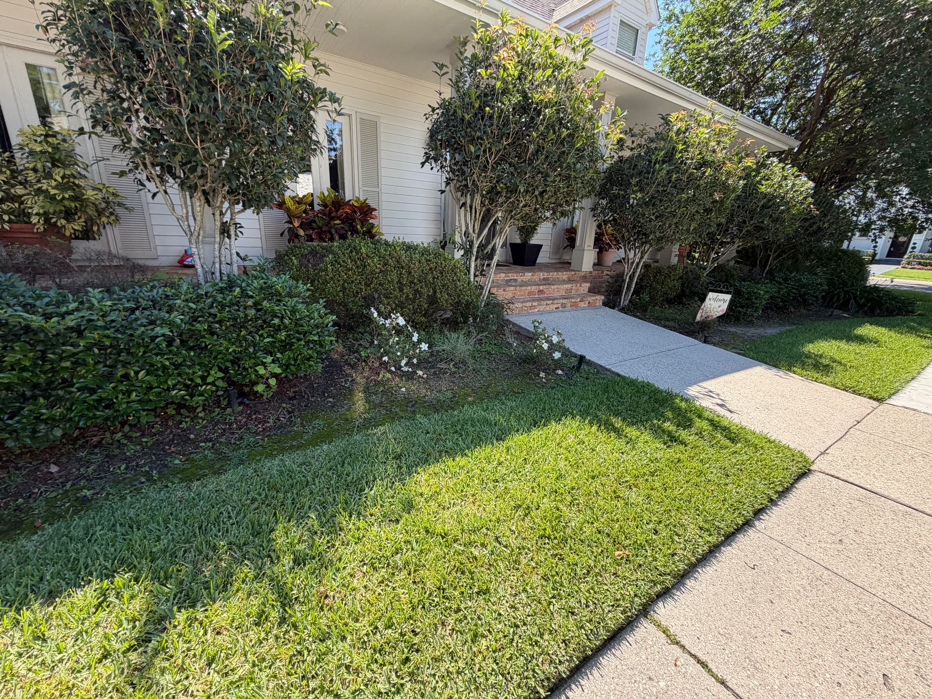 Gallery photos for Full Landscape Cleanup With Fresh Mulch and Shaped Shrubs: Image #1