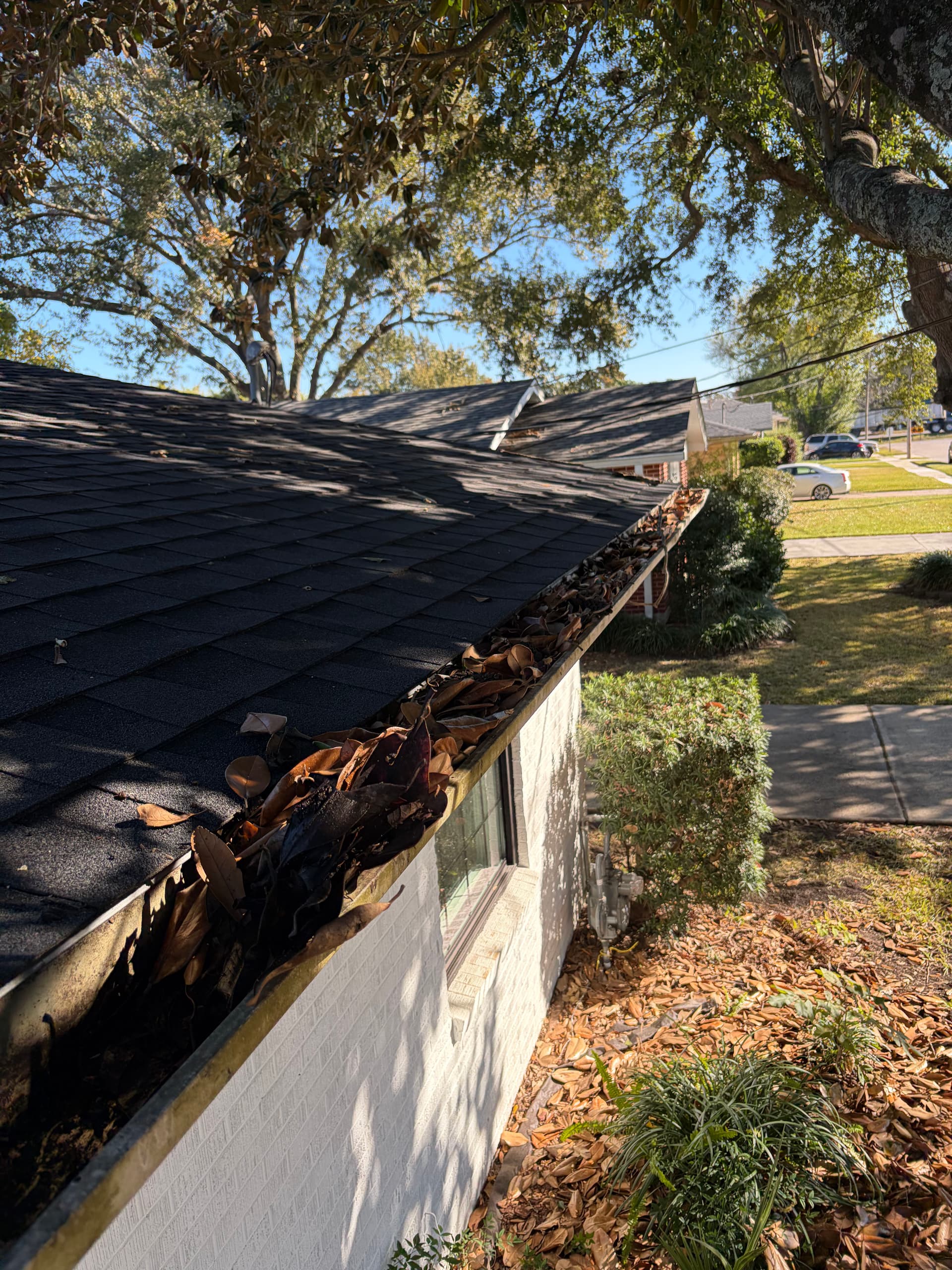 Gallery photos for Revamped Front Yard Landscape: Image #9