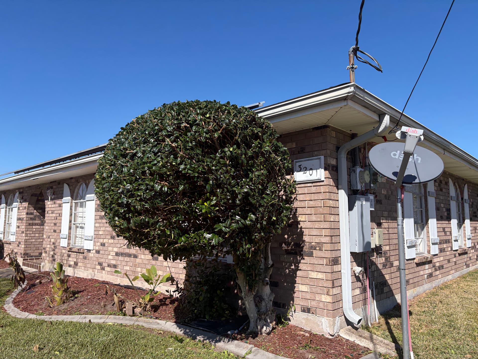 Complete Yard Cleanup in Metairie