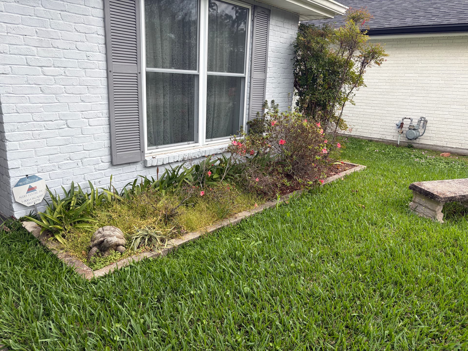 Gallery photos for Front Yard Garden Bed Cleanup and Fresh Plant Installation: Image #1