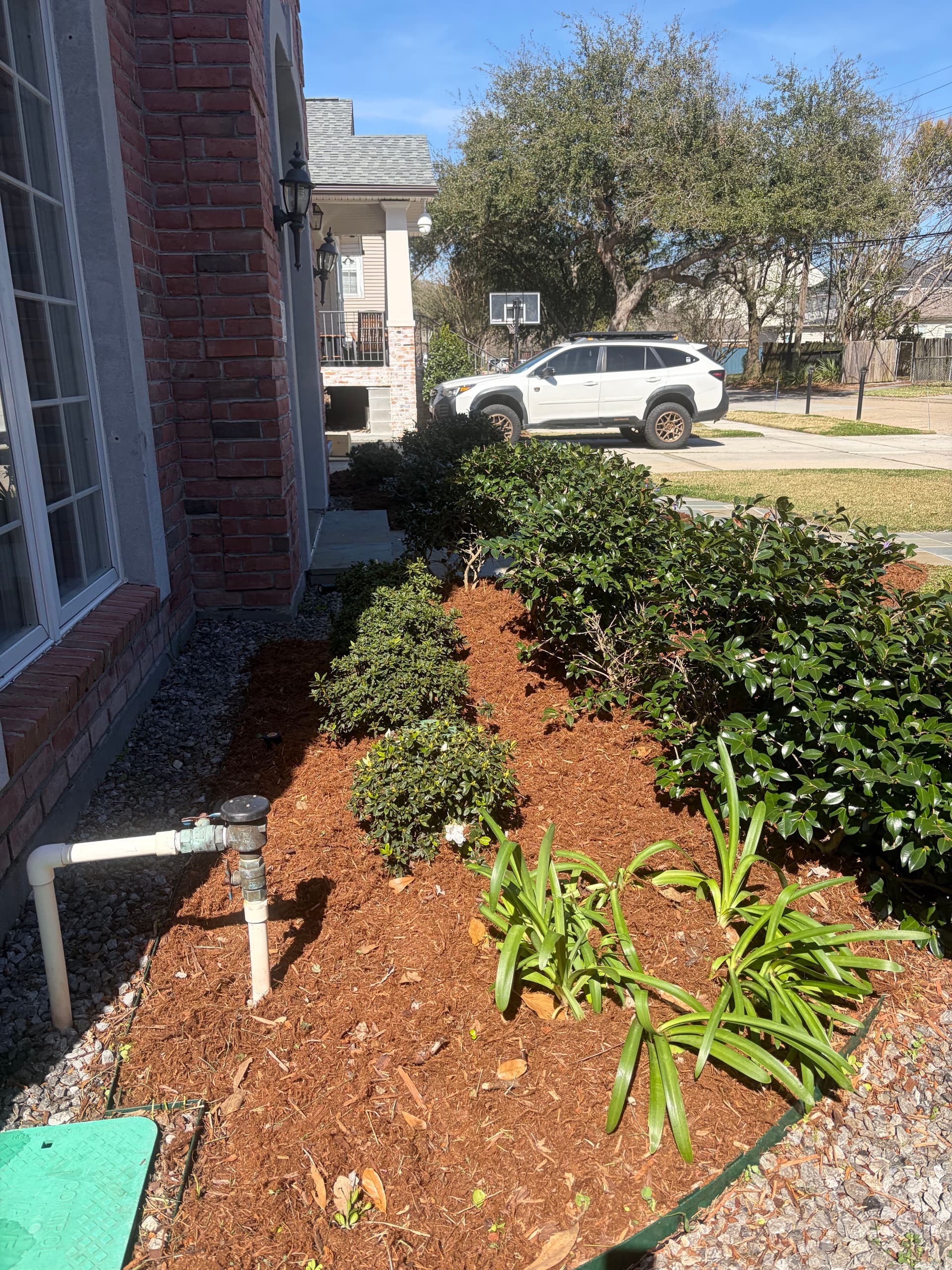 Gallery photos for Garden Makeover with Fresh Planting: Image #5