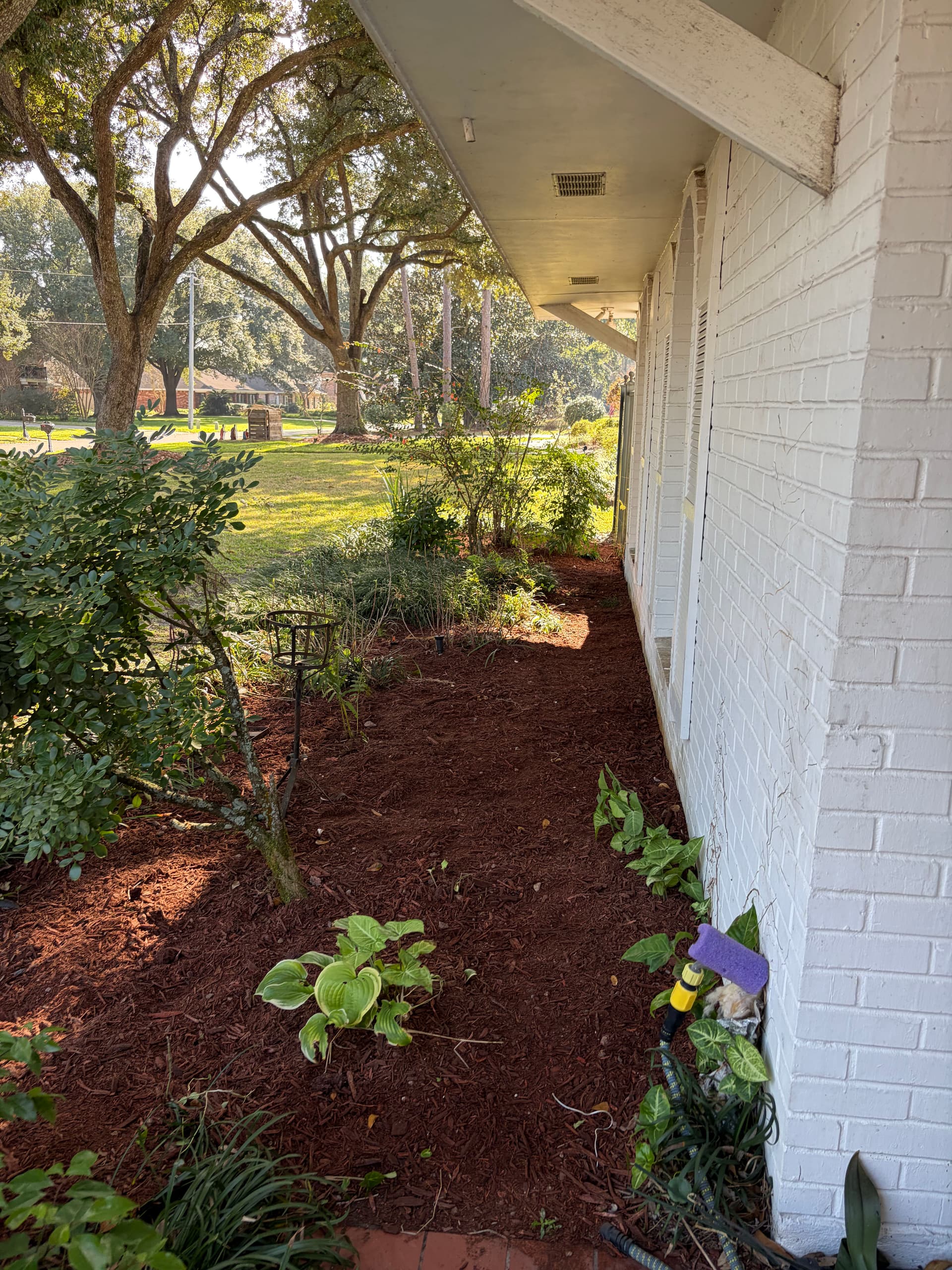 Gallery photos for Fresh Mulch for a Beautiful Lawn: Image #4