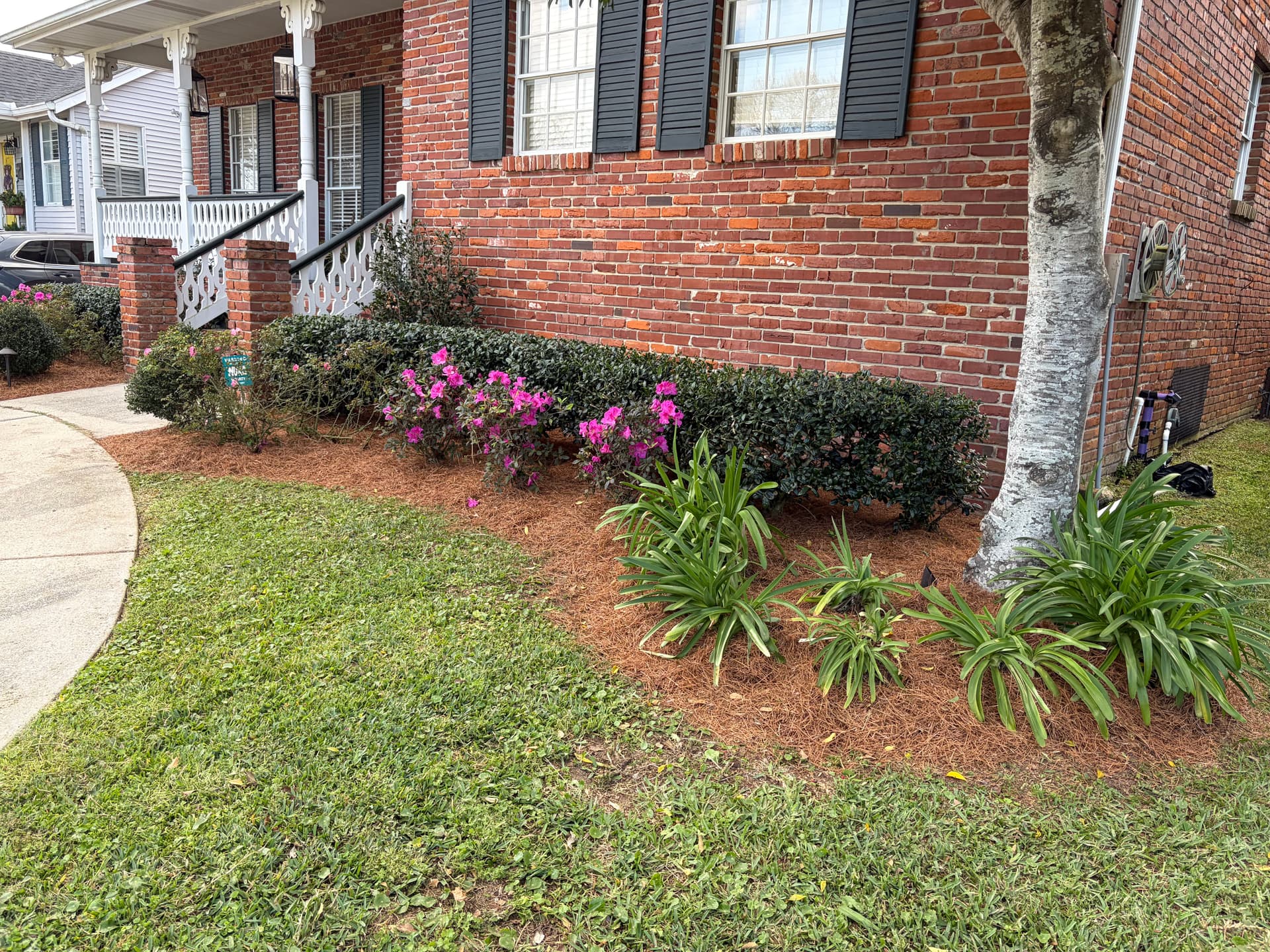 Gallery photos for Front Yard Transformation with Mulching and Trimming: Image #5