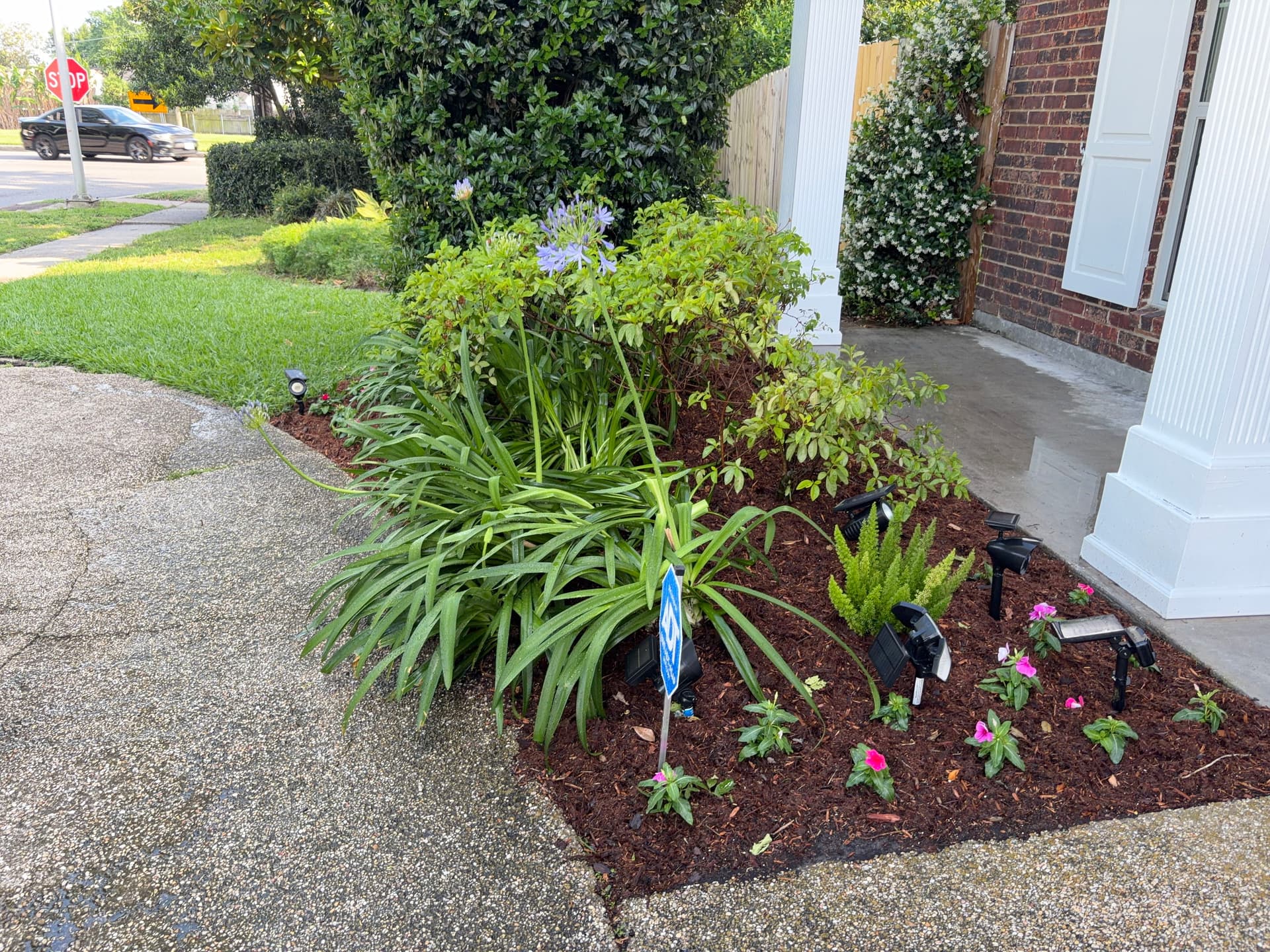 Gallery photos for Front Landscape Cleanup with New Beds, Mulch and Tree Trimming: Image #5