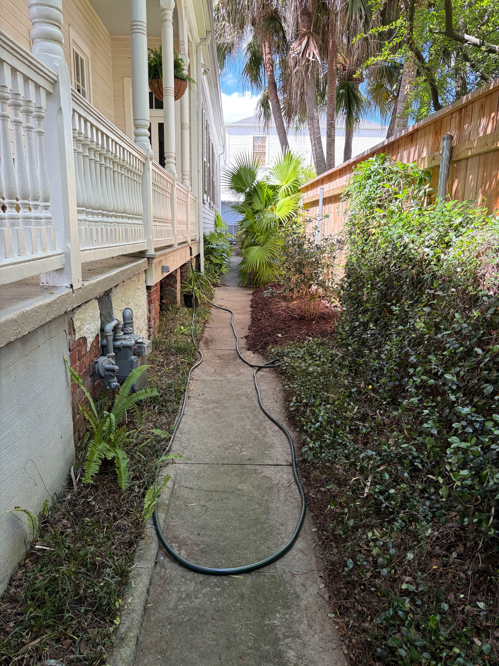 Gallery photos for Full Spring Cleanup on a Historic Property with Oak, Palms, and Garden Beds: Image #1