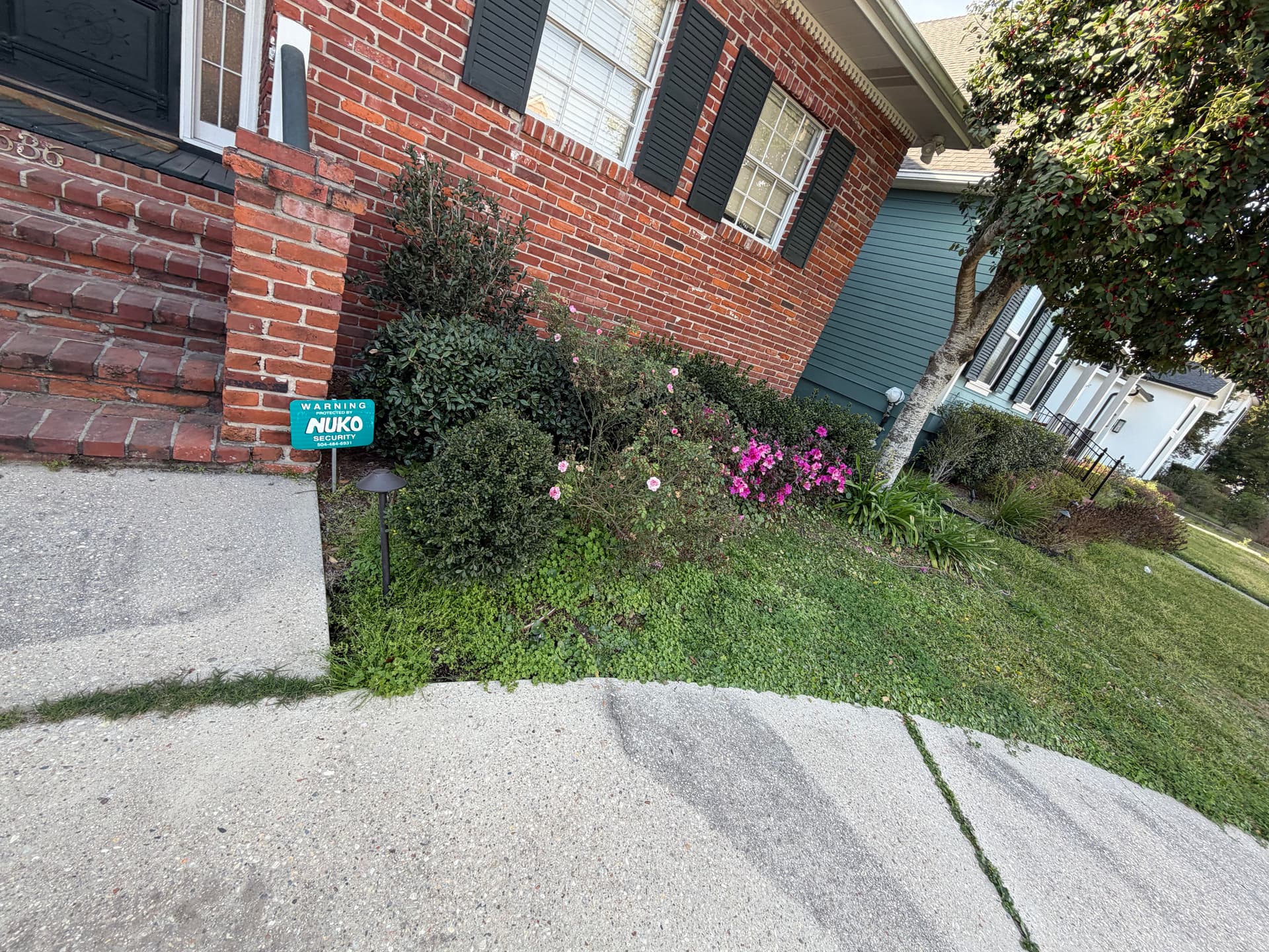 Gallery photos for Front Yard Transformation with Mulching and Trimming: Image #3