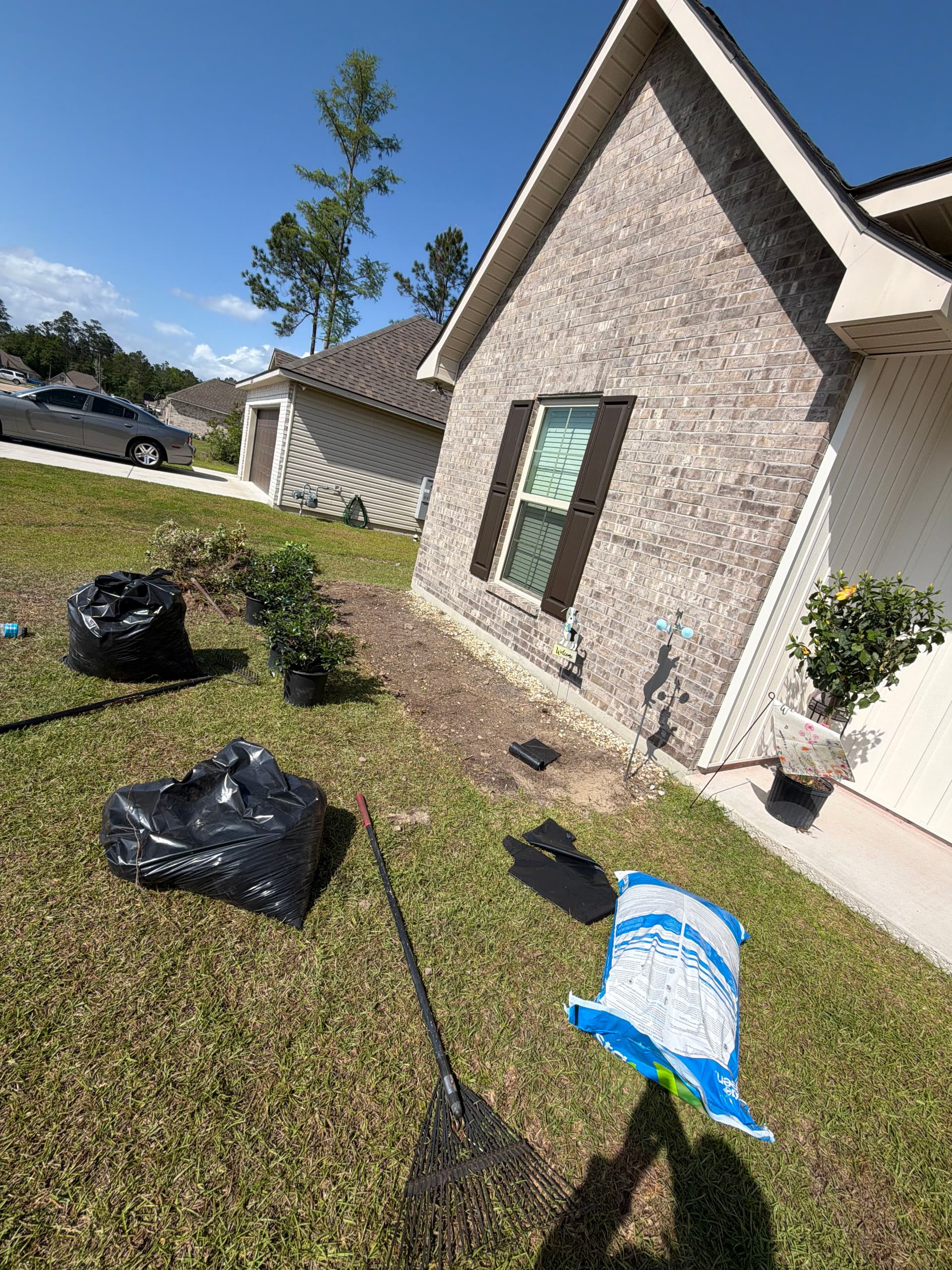 Gallery photos for Front Yard Landscape Tearout and Replant with Camellias and Hibiscus: Image #1