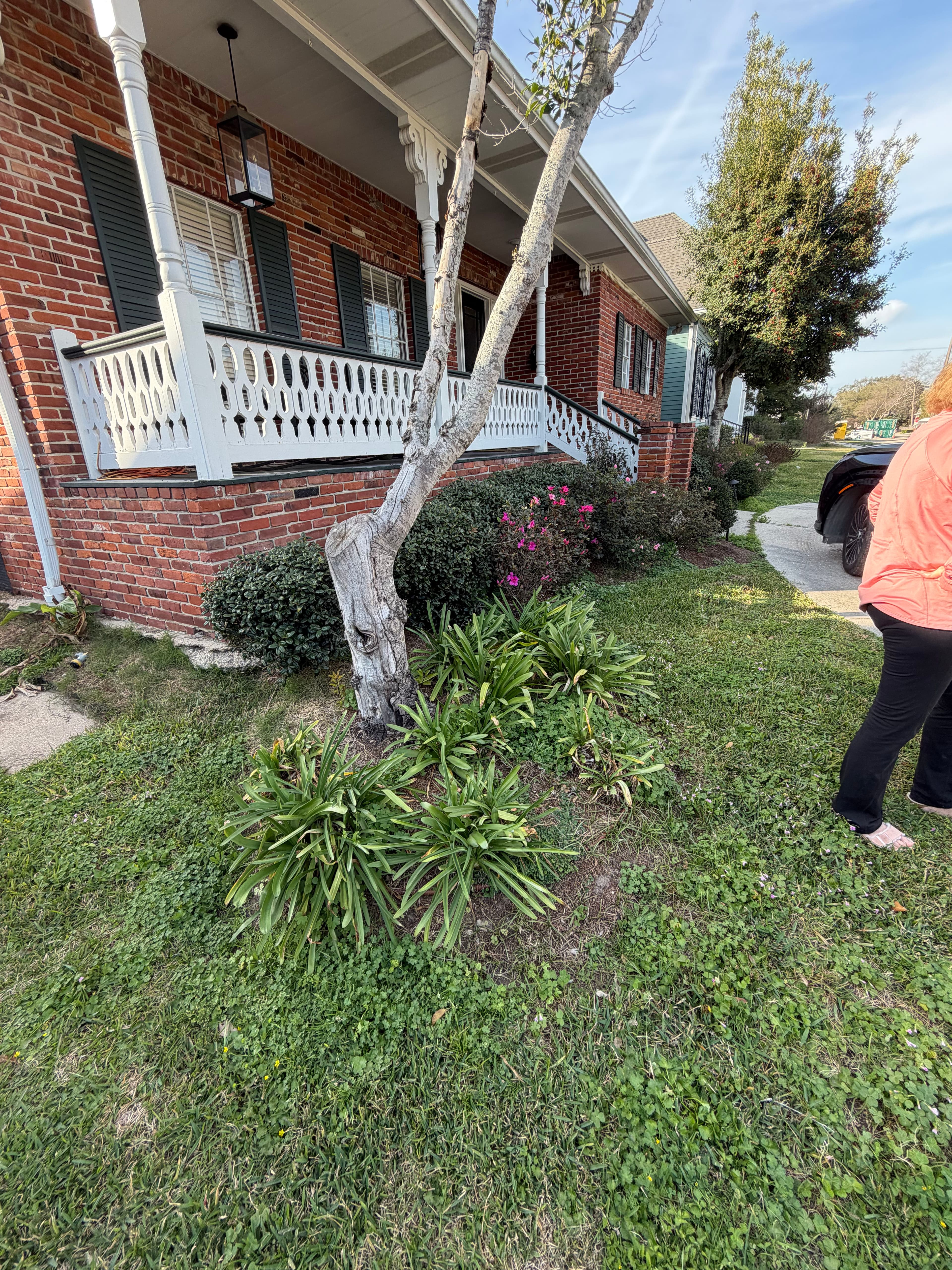 Project Front Yard Transformation with Mulching and Trimming image