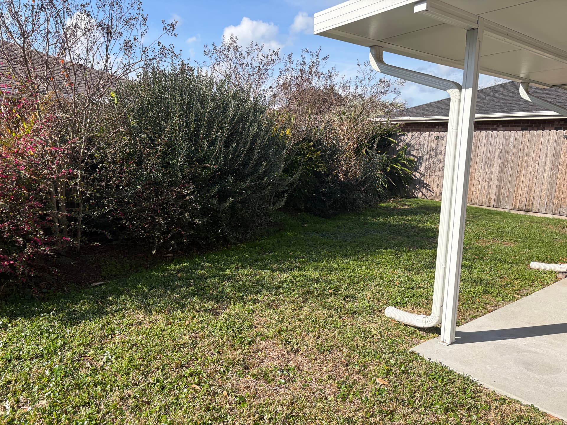 Gallery photos for Comprehensive Yard Makeover to Boost Curb Appeal: Image #3