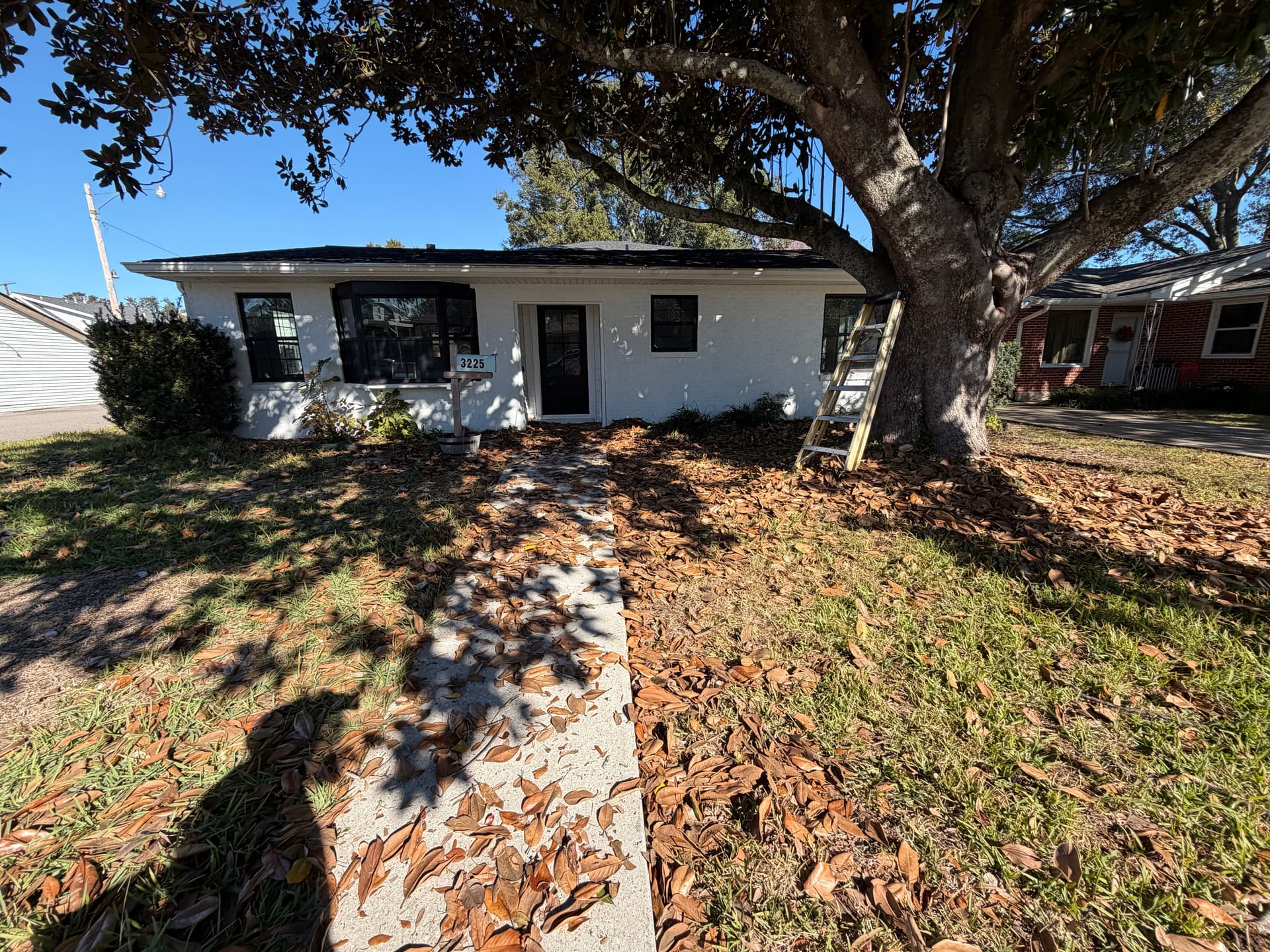 Revamped Front Yard Landscape