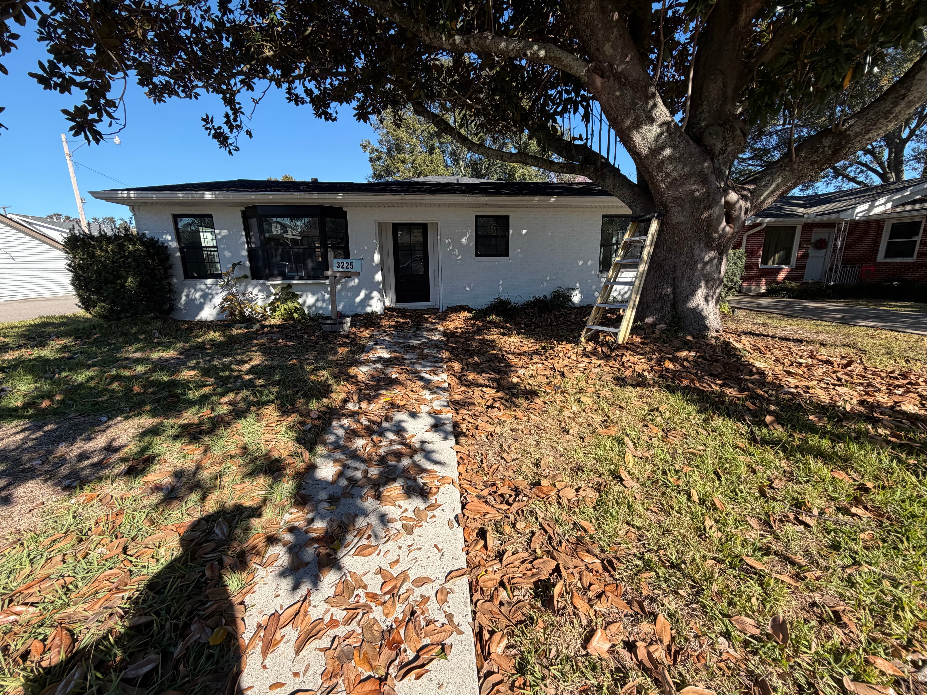 Project Revamped Front Yard Landscape image