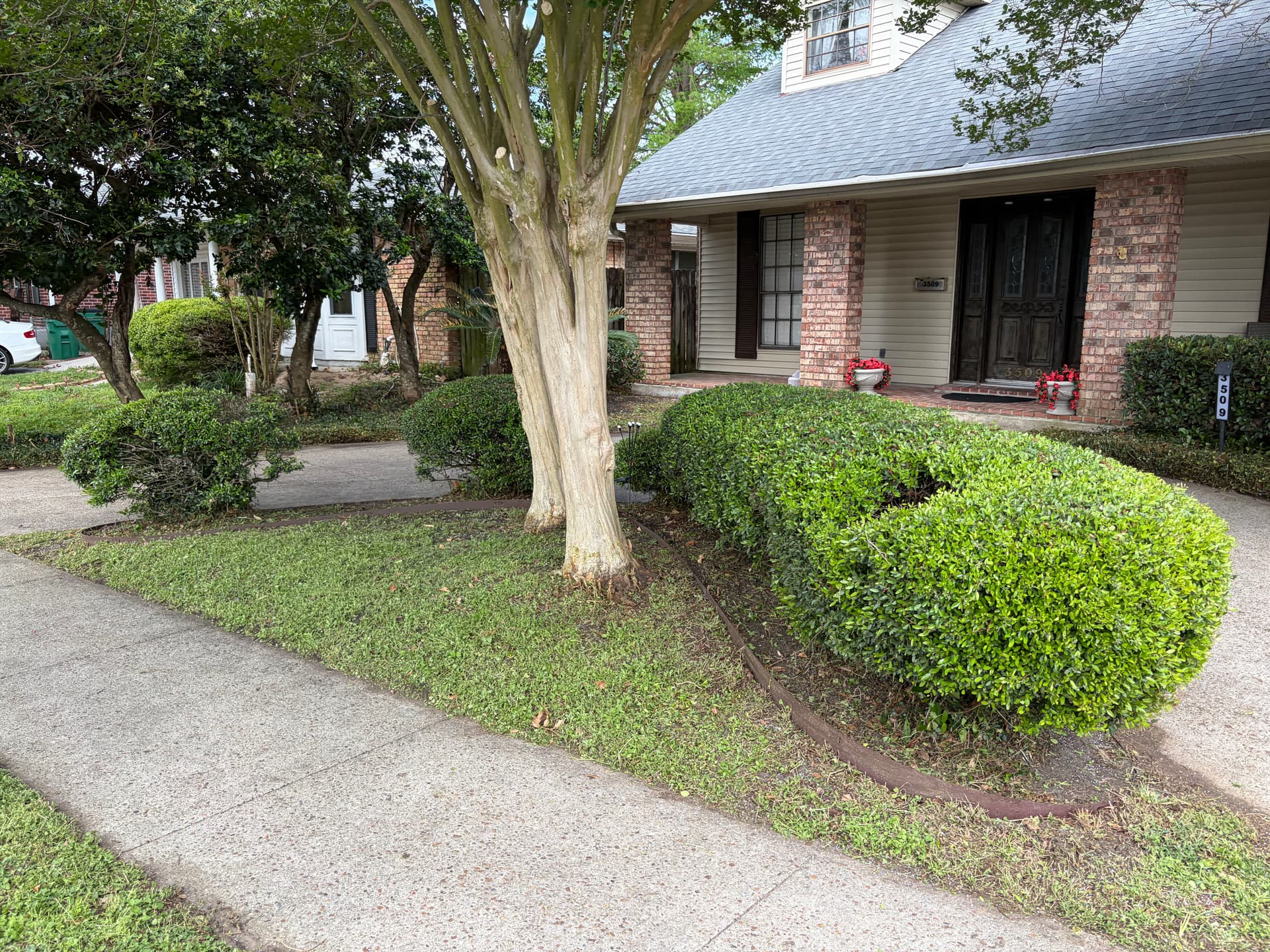 Gallery photos for Comprehensive Yard Cleanup and Transformation: Image #4