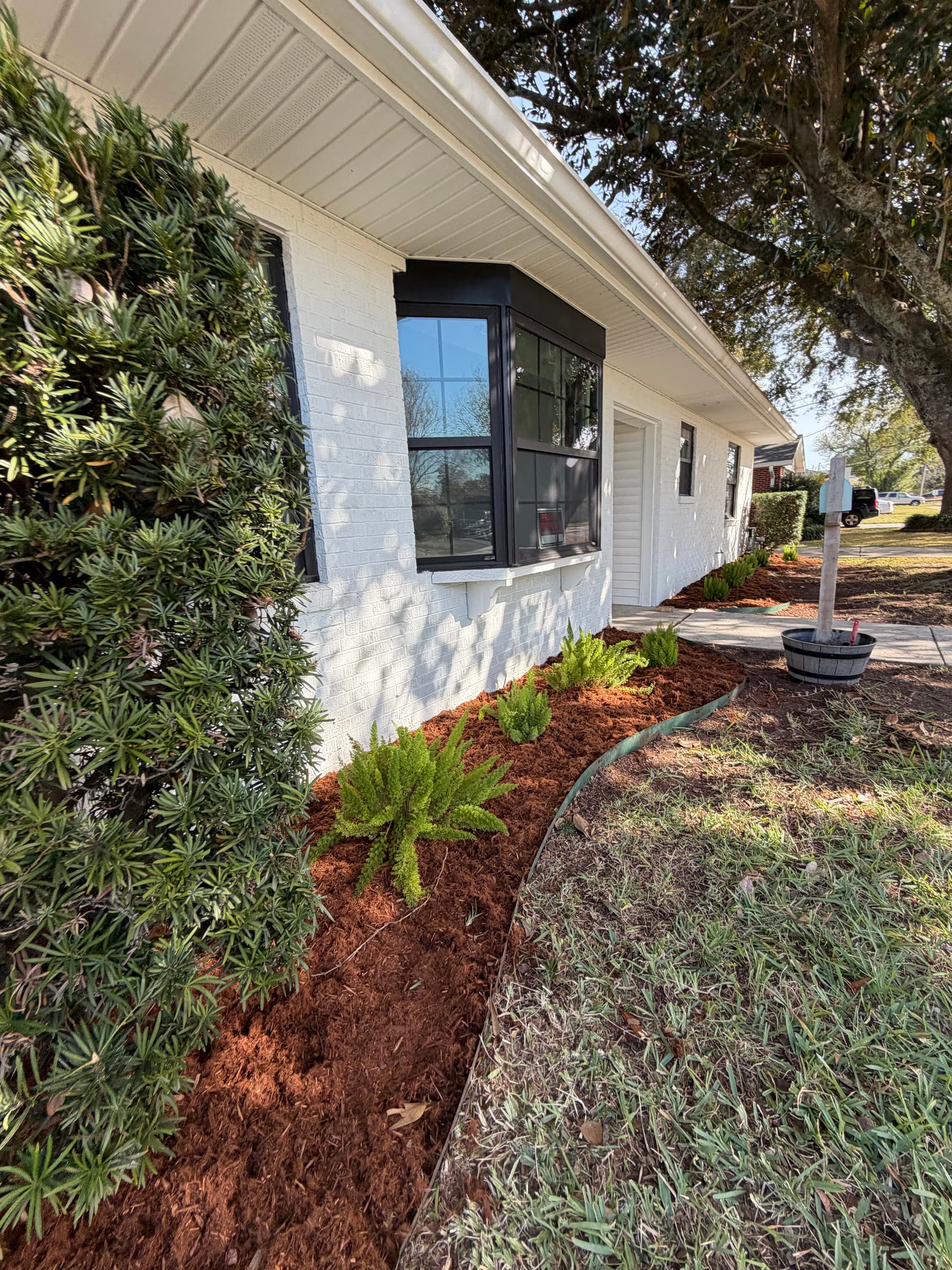 Gallery photos for Revamped Front Yard Landscape: Image #8