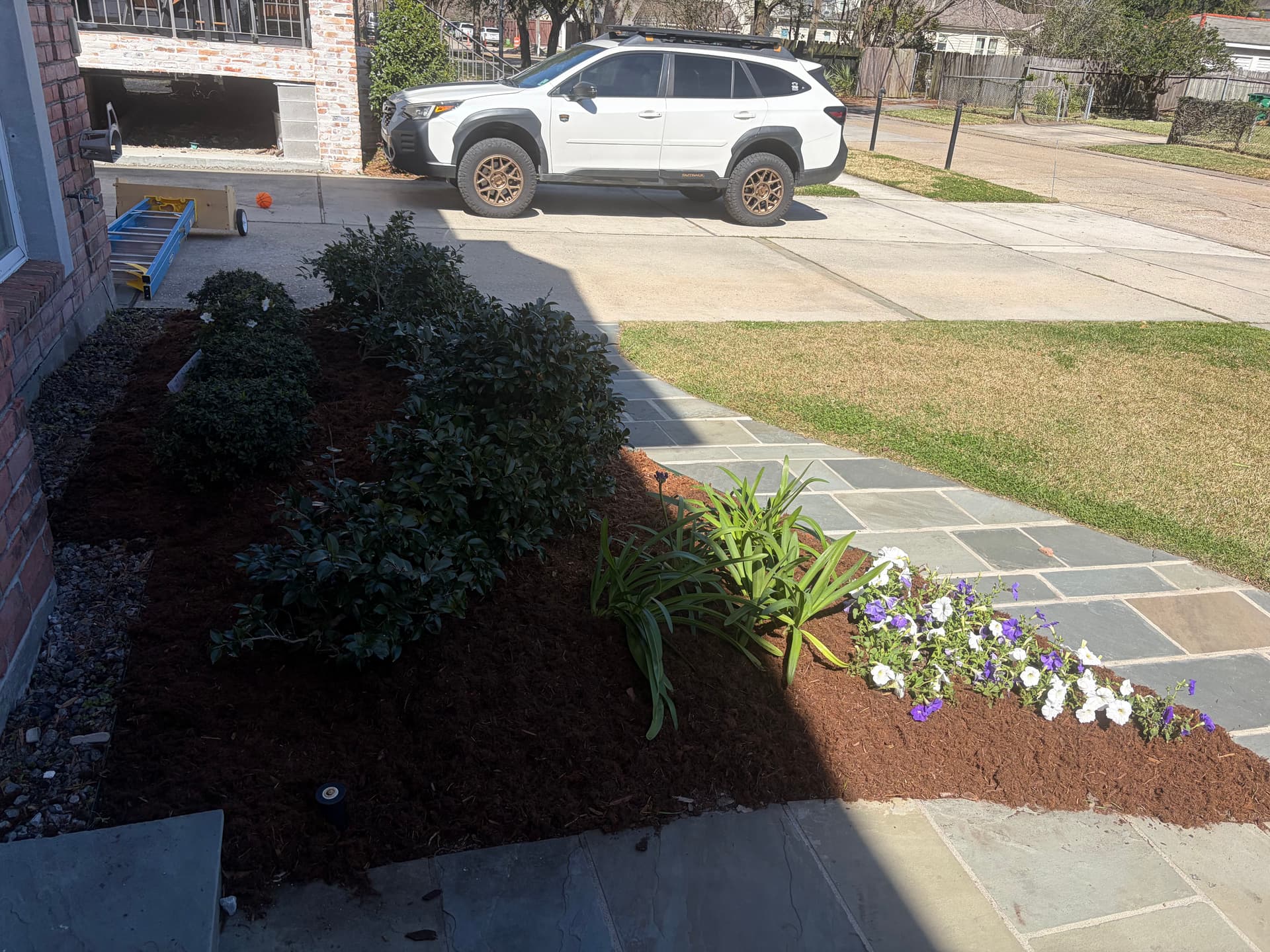 Gallery photos for Garden Makeover with Fresh Planting: Image #4