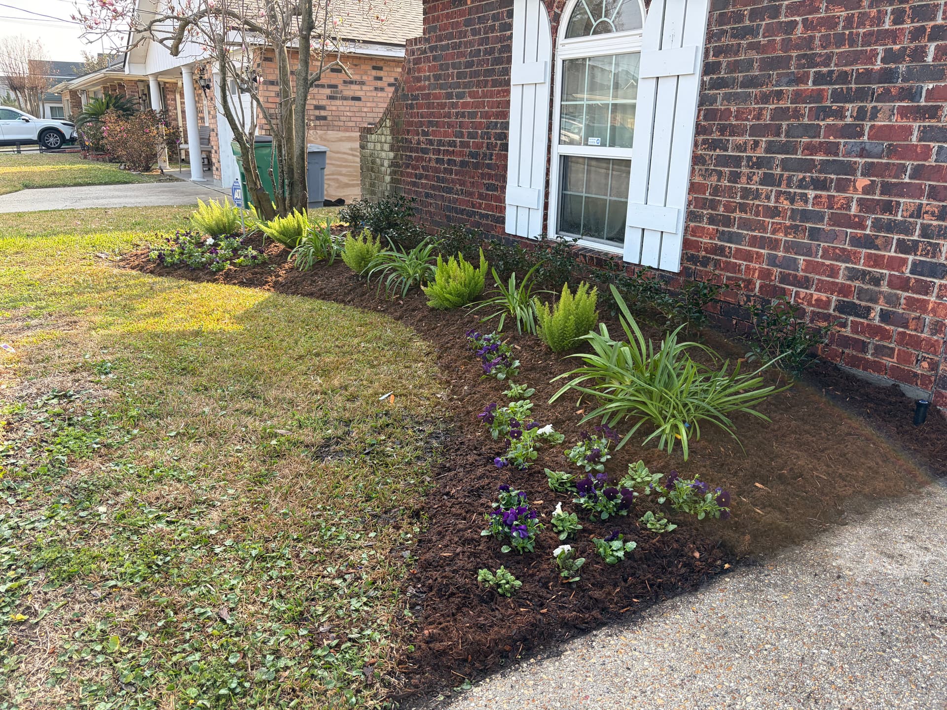 Gallery photos for Front Yard Transformation with Fresh Landscapes and Smart Irrigation: Image #2