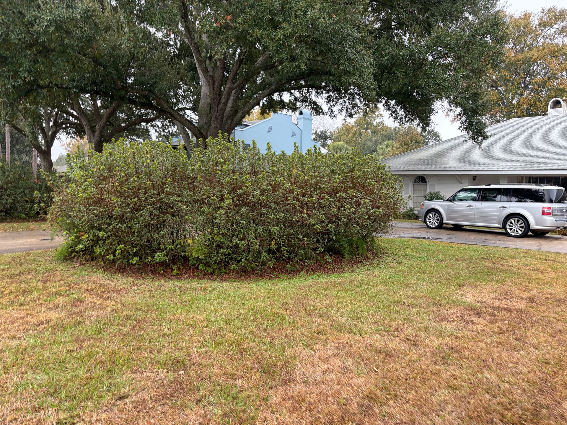 Gallery photos for Tidy and Trimmed: Holiday Ready Landscaping: Image #6