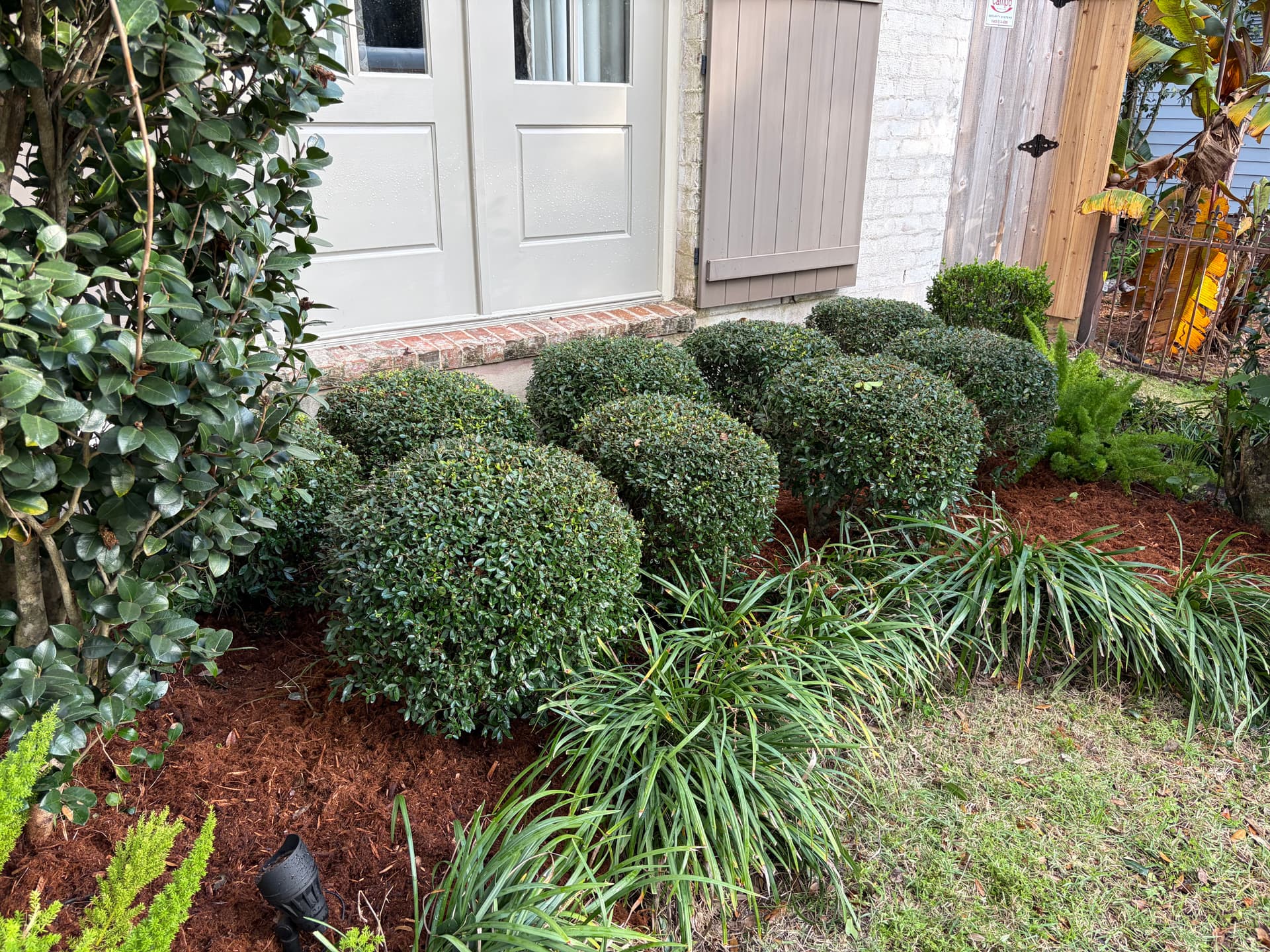 Gallery photos for Enhanced Curb Appeal with Fresh Mulch and Trimmed Shrubs: Image #3