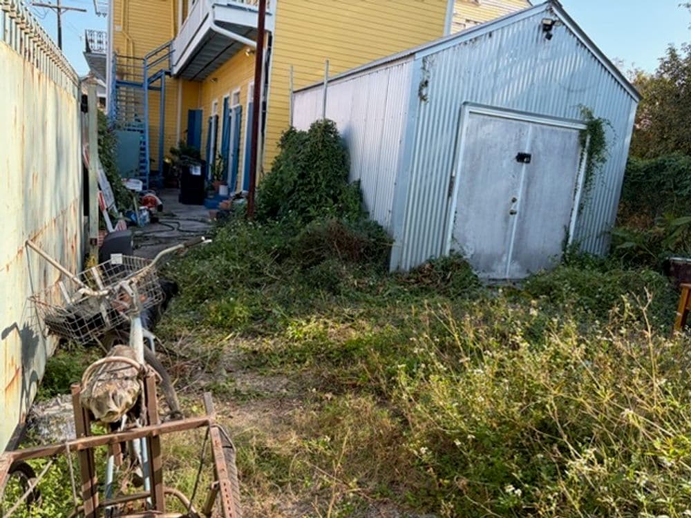 Gallery photos for Efficient Yard Cleanup and Transformation: Image #1