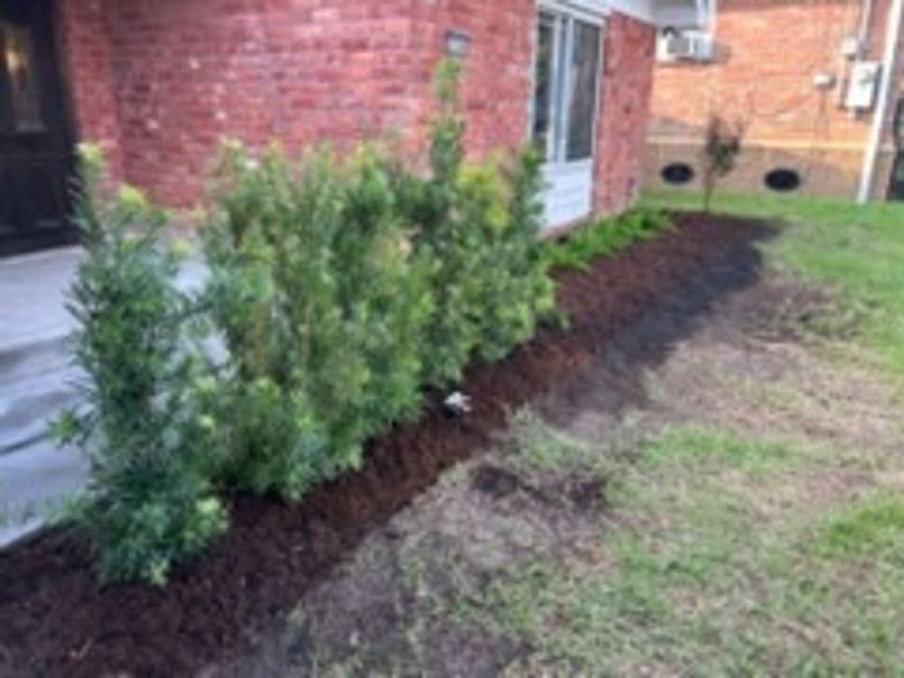 Gallery photos for Beautifying Your Home with Professional Landscaping in Metairie: Image #1