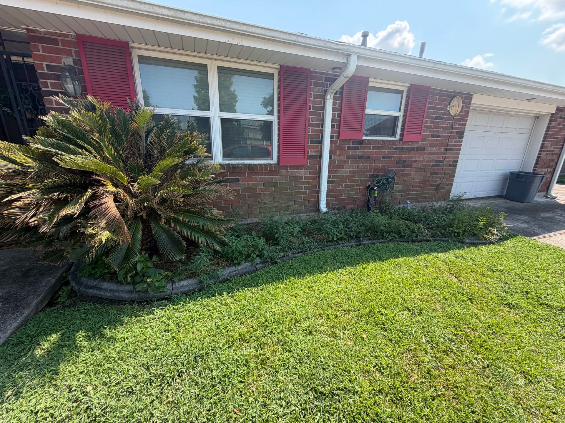 Gallery photos for Overgrown Beds Gone - Fresh Mulch and Trimmed Palms: Image #1