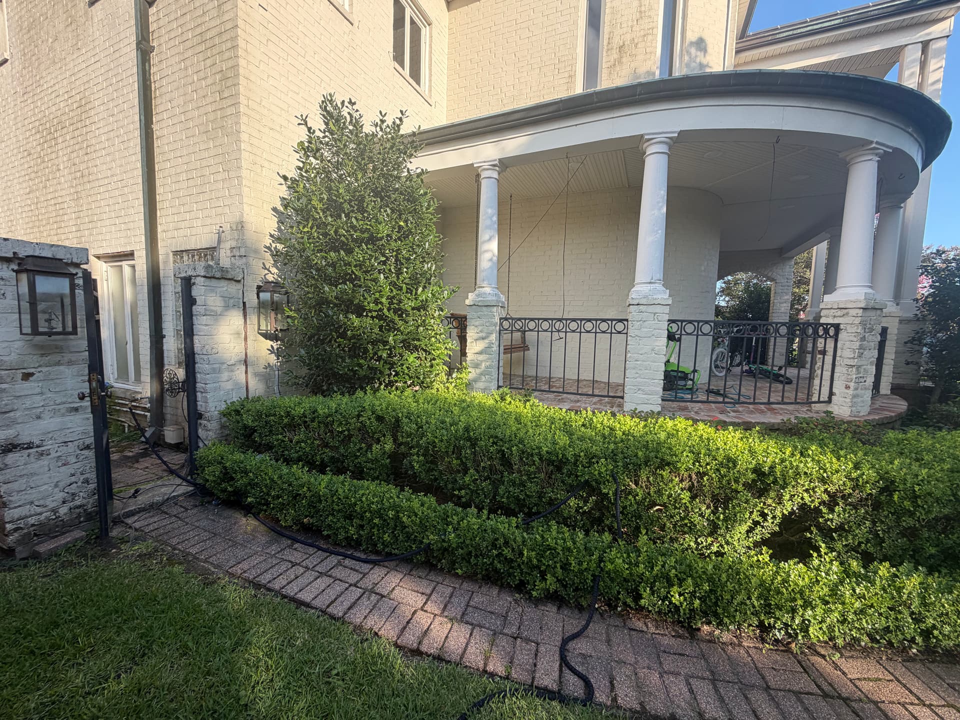 Gallery photos for Front Yard Shrub Trimming and Landscape Cleanup Done Right: Image #3