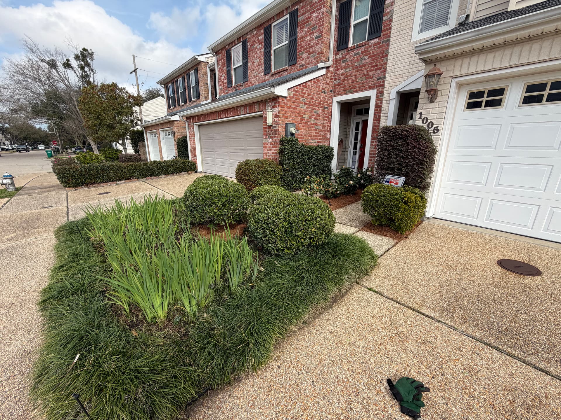 Gallery photos for Suburban Front Yard Makeover in Old Metairie: Image #2