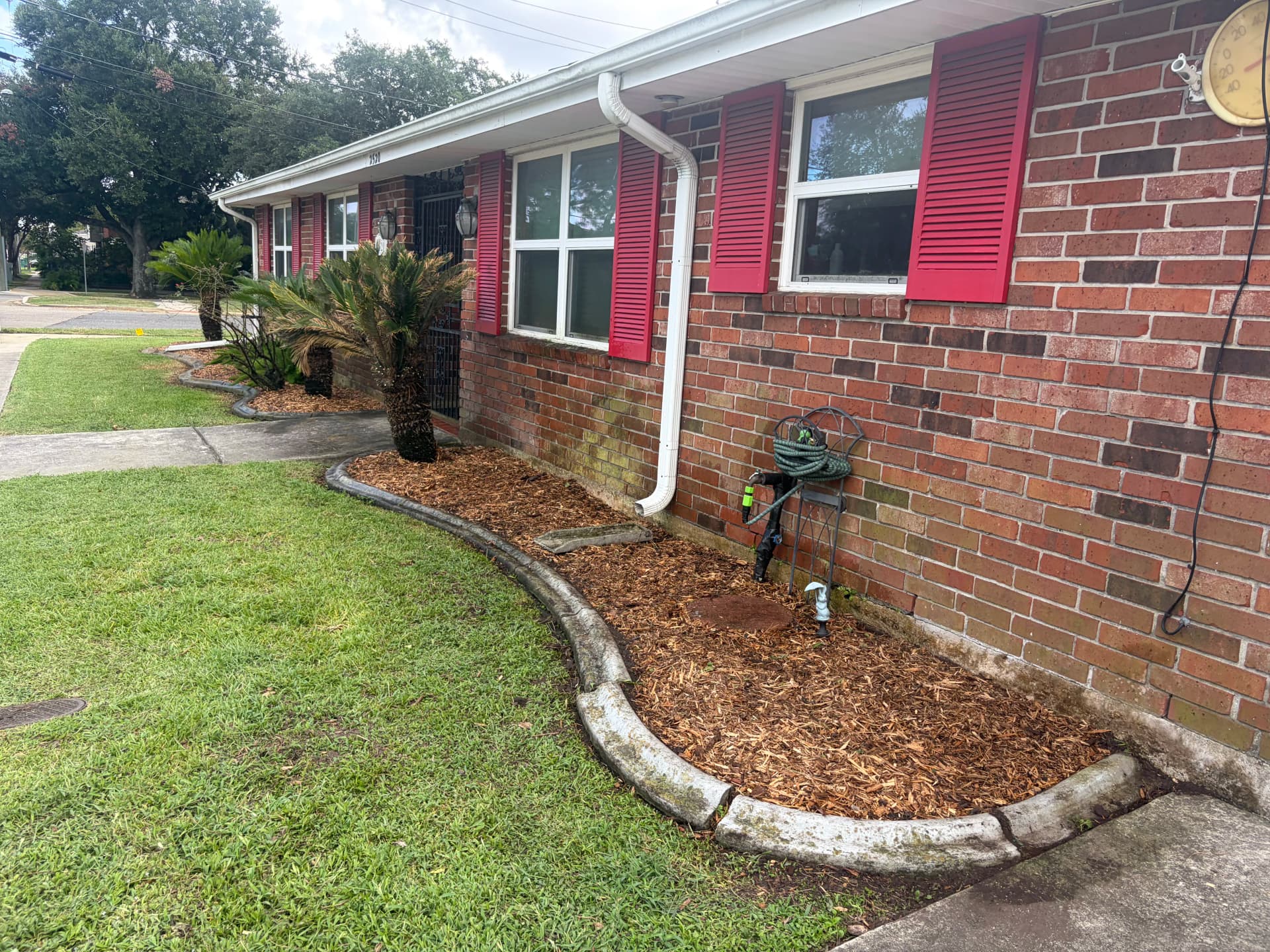 Gallery photos for Overgrown Beds Gone - Fresh Mulch and Trimmed Palms: Image #4