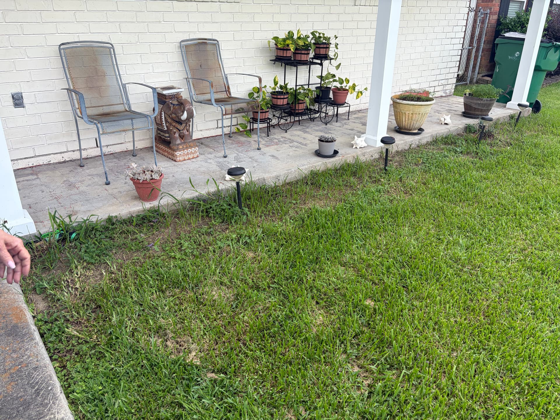 Gallery photos for Grassy Strip Turned Clean Garden Bed with Fresh Plants and Mulch: Image #1