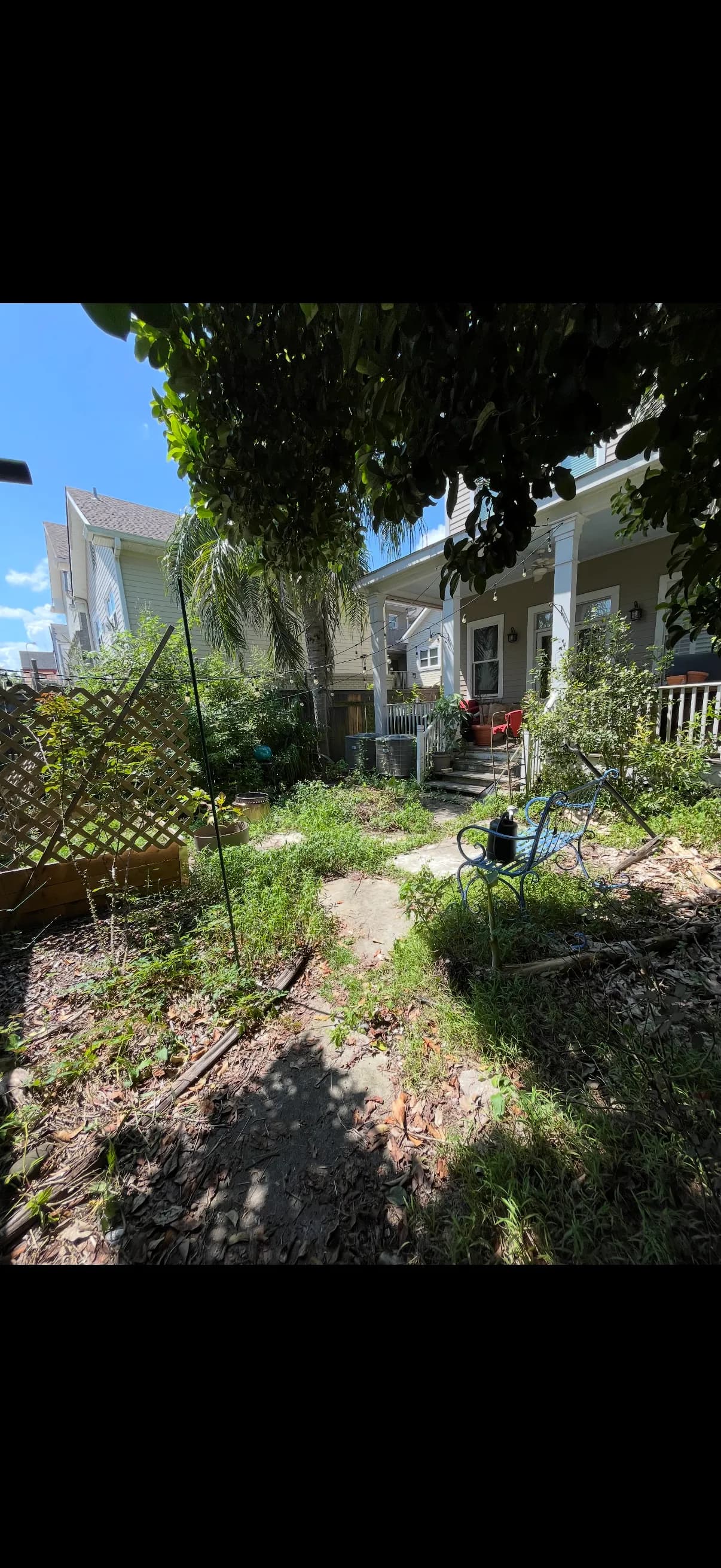 Gallery photos for Cracked Concrete Out, Native Plants and Pavers In: Image #1