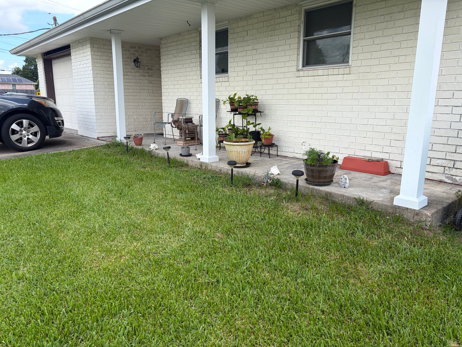 Grassy Strip Turned Clean Garden Bed with Fresh Plants and Mulch image