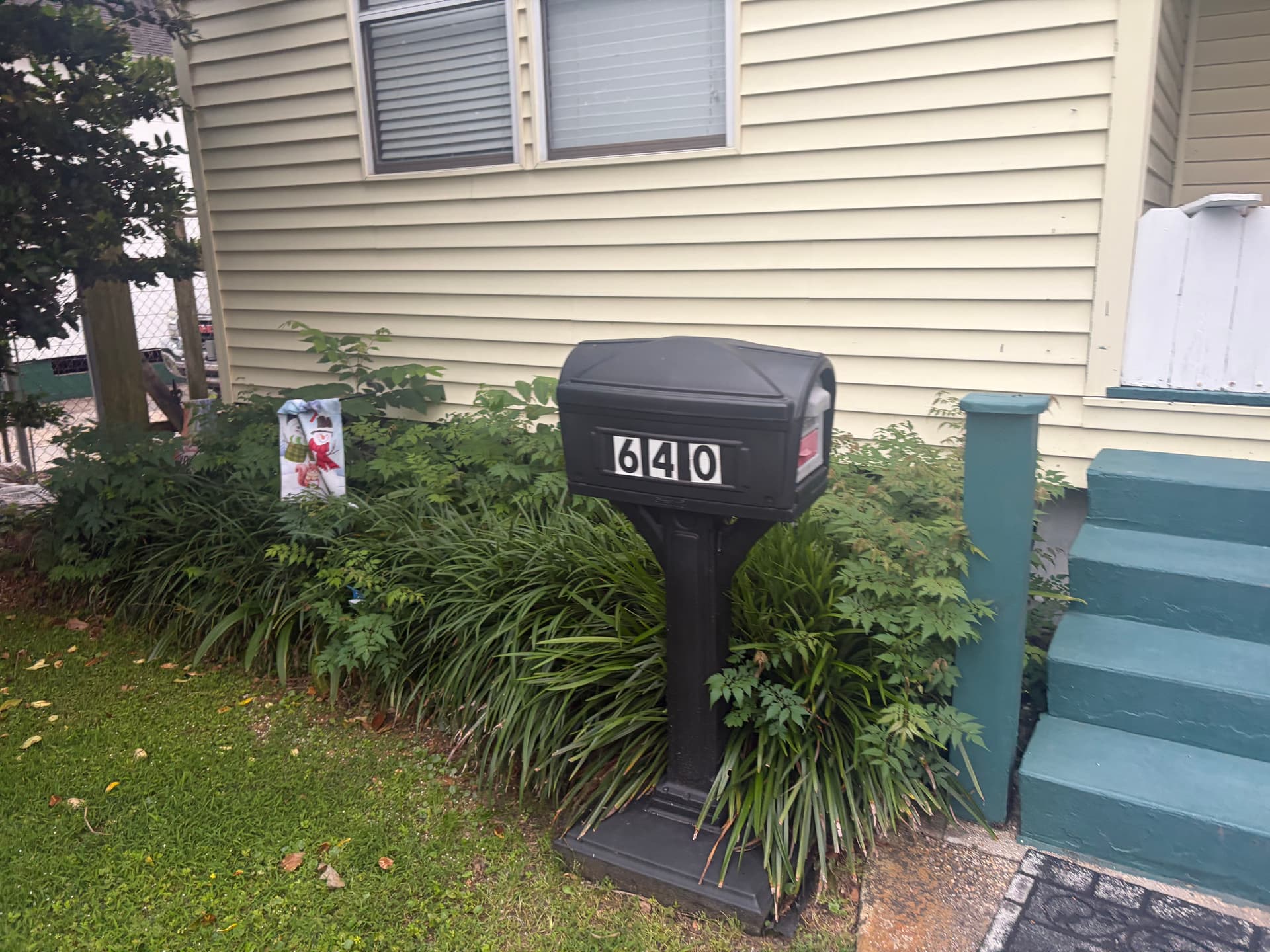 Gallery photos for Front Yard Bed Cleanup and Refresh Done Right: Image #3
