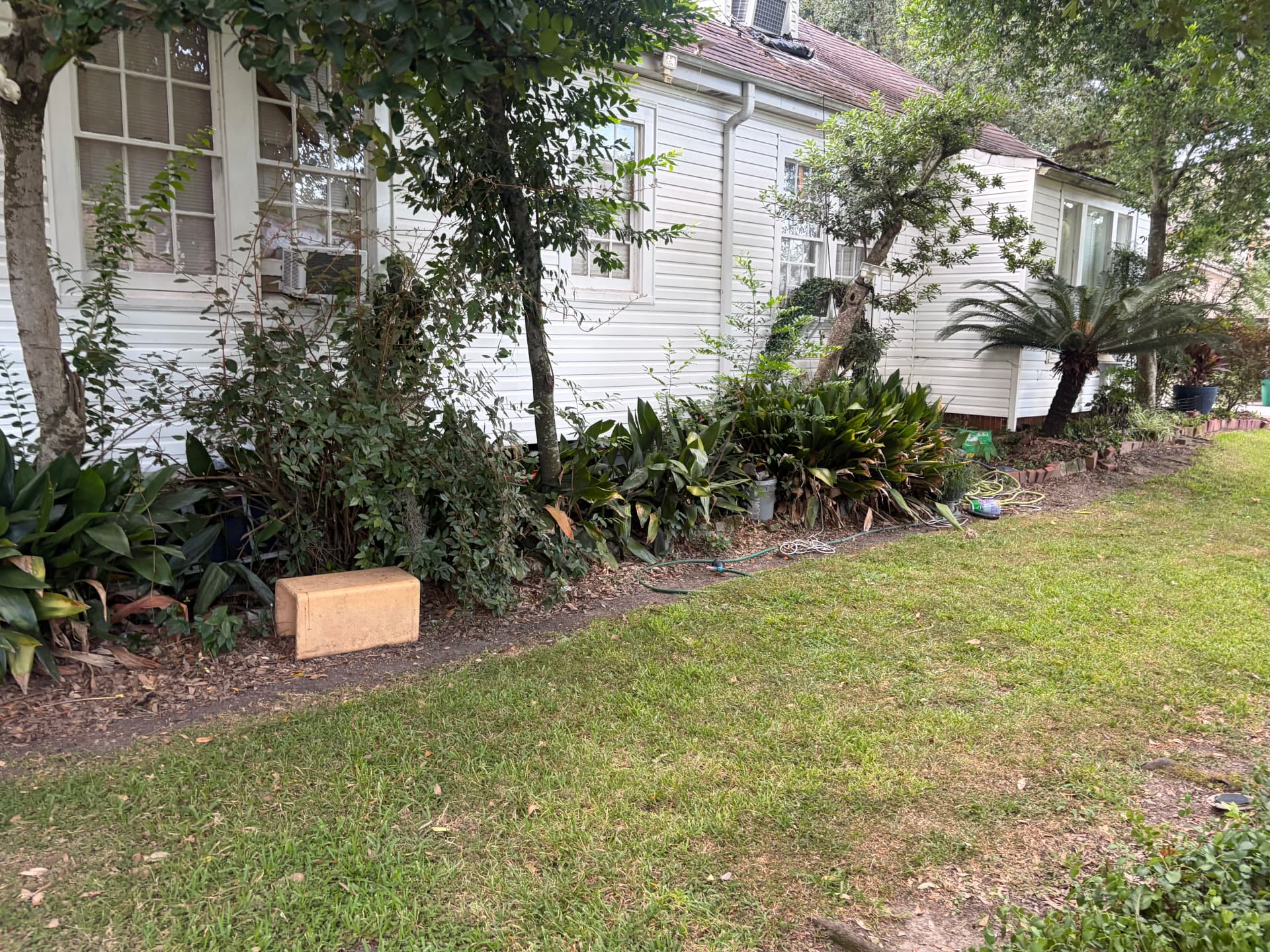 Gallery photos for Debris Clearout and Landscaping Cleanup at a Metairie Home: Image #1